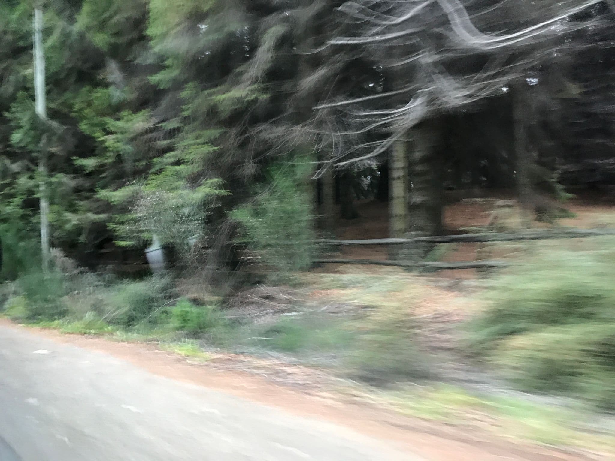 Street view near Cabañas Bosque al Lago, San Carlos de Bariloche — © ejegg (CC BY-SA · Mapillary)