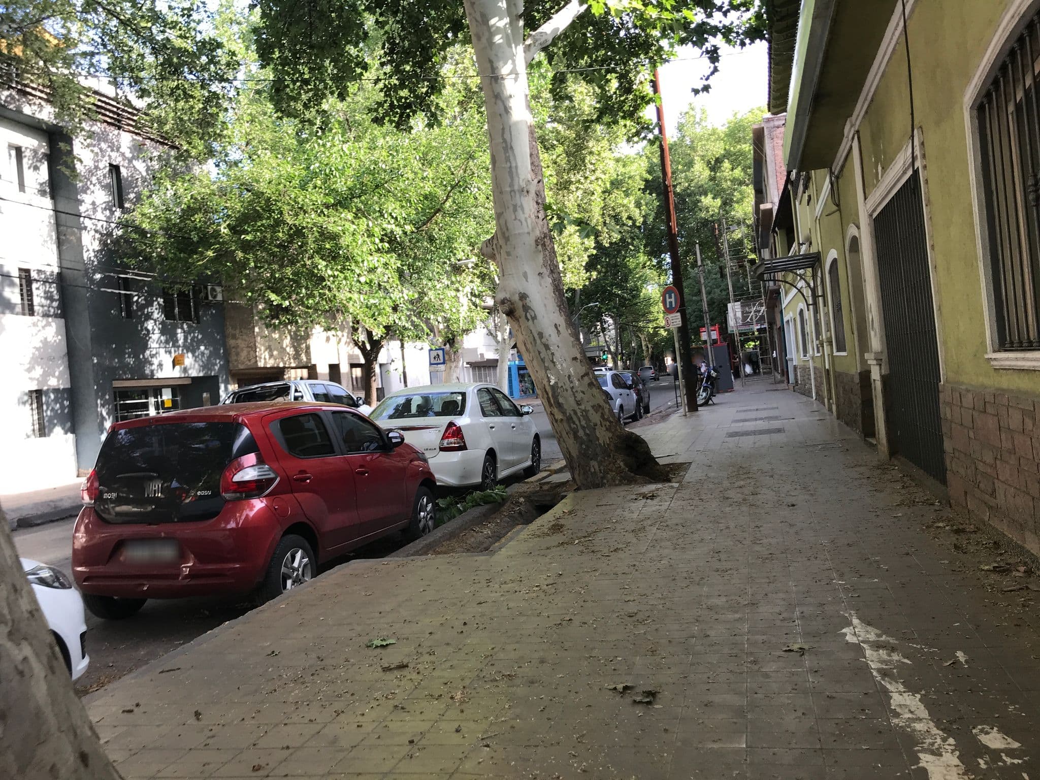 Street view near Wine Aparts Suites & Rooms, Mendoza — © miguel_andrade (CC BY-SA · Mapillary)