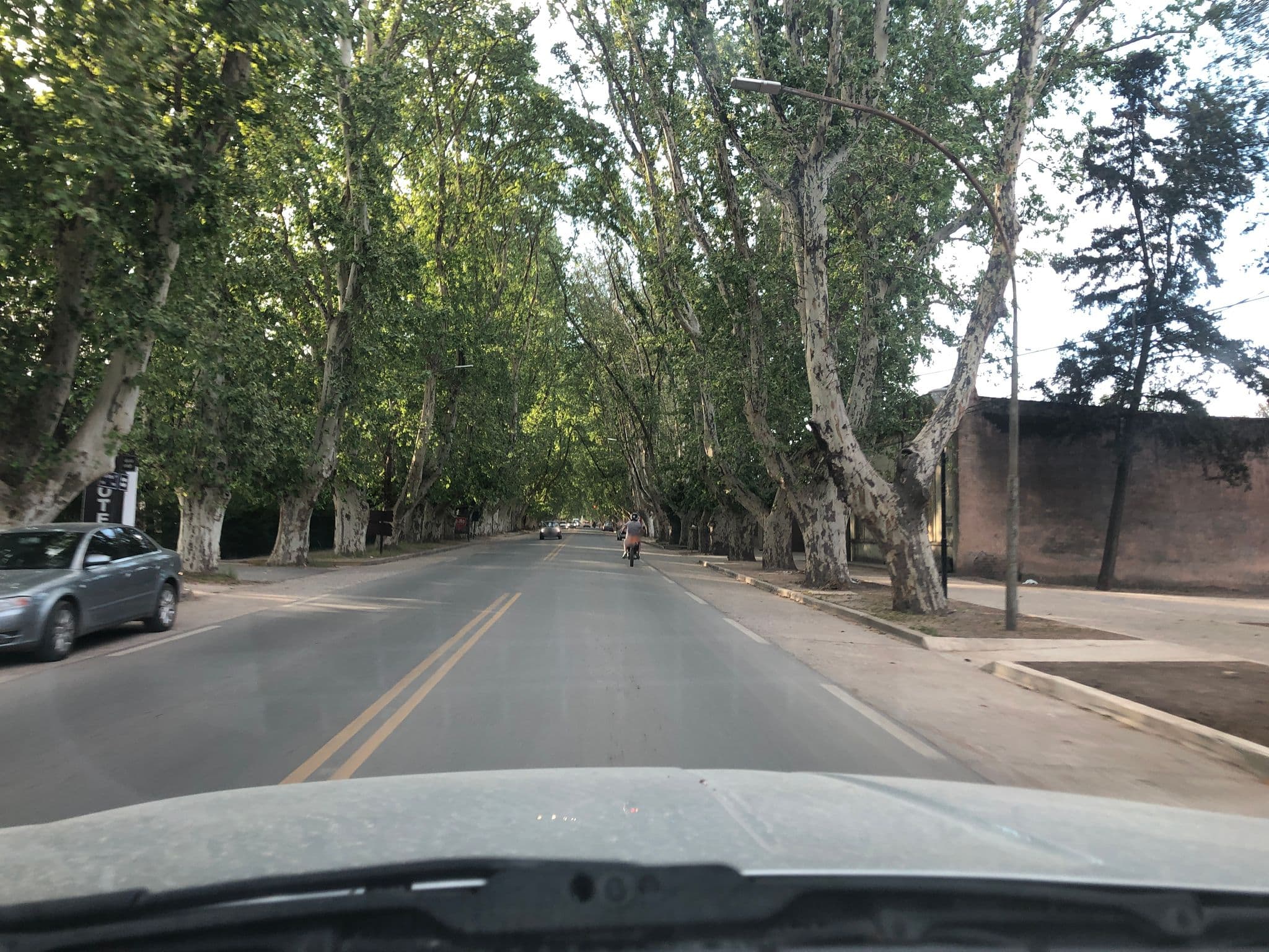 Street view near Posada Los Plátanos, Jesús María — © suricata88 (CC BY-SA · Mapillary)
