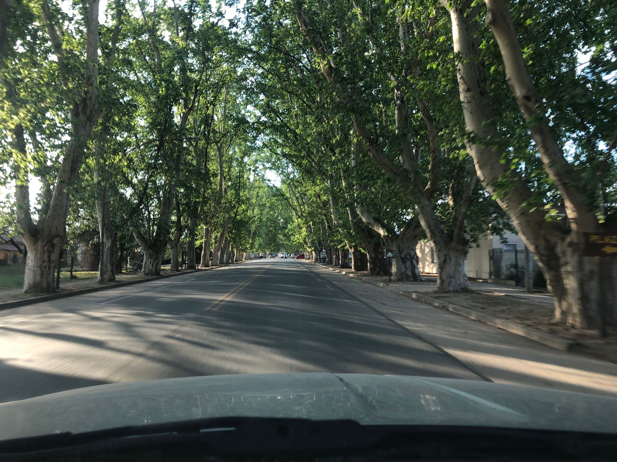 Street view near La Casona De Caroyapa, Colonia Caroya — © suricata88 (CC BY-SA · Mapillary)