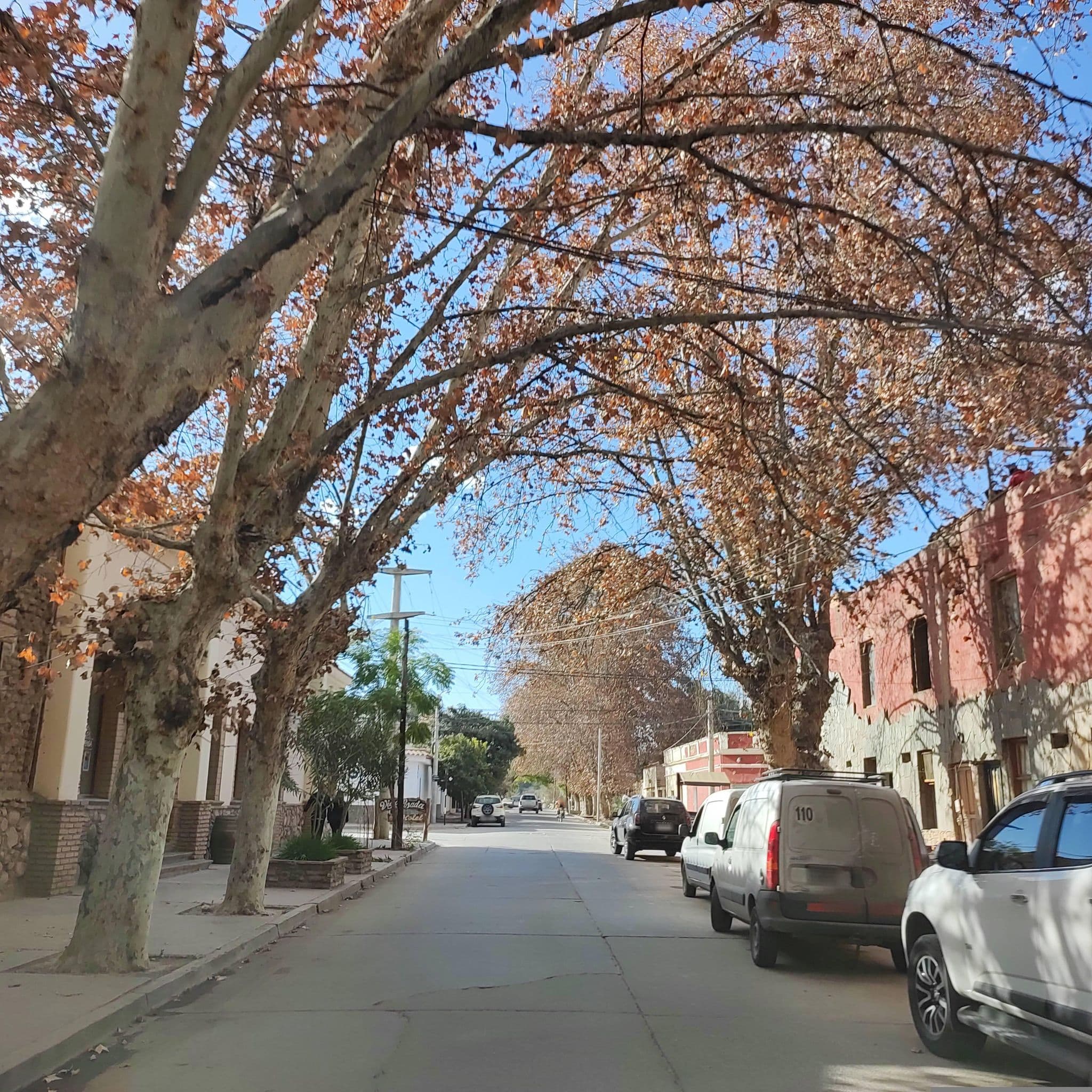 Street view near Hotel Las Guardas, Cafayate — © diegokrein (CC BY-SA · Mapillary)