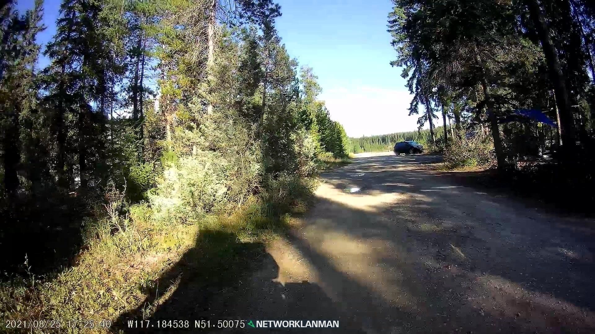 Street view near Waitabit Creek Recreation Site Campground, Golden — © networklanman (CC BY-SA · Mapillary)
