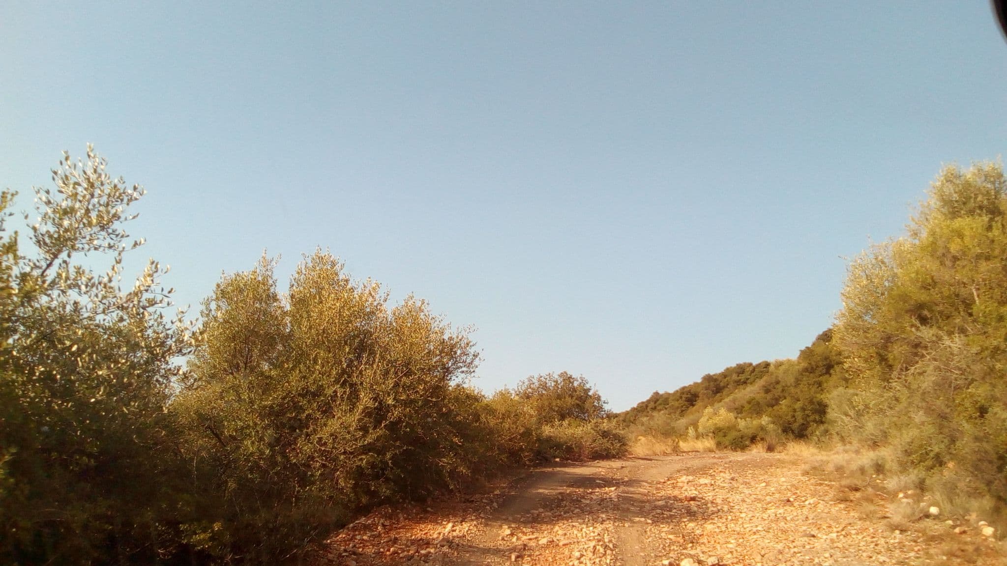 Street view near Hotel Theasis, Efpálio — © nafpaktia (CC BY-SA · Mapillary)