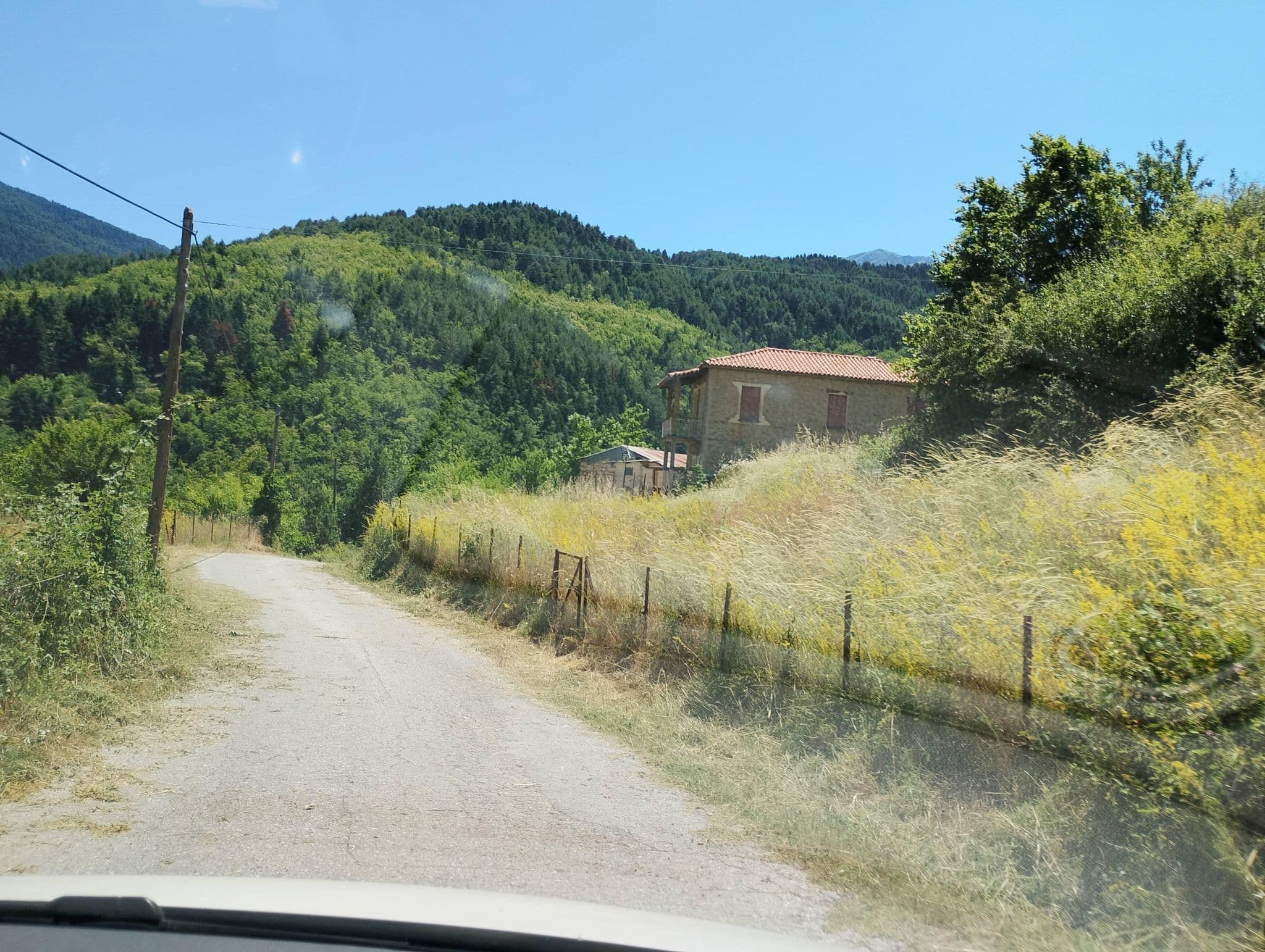 Street view near ξενωνας δρυαδες ζαρουχλα, Evrostína — © George_210 (CC BY-SA · Mapillary)