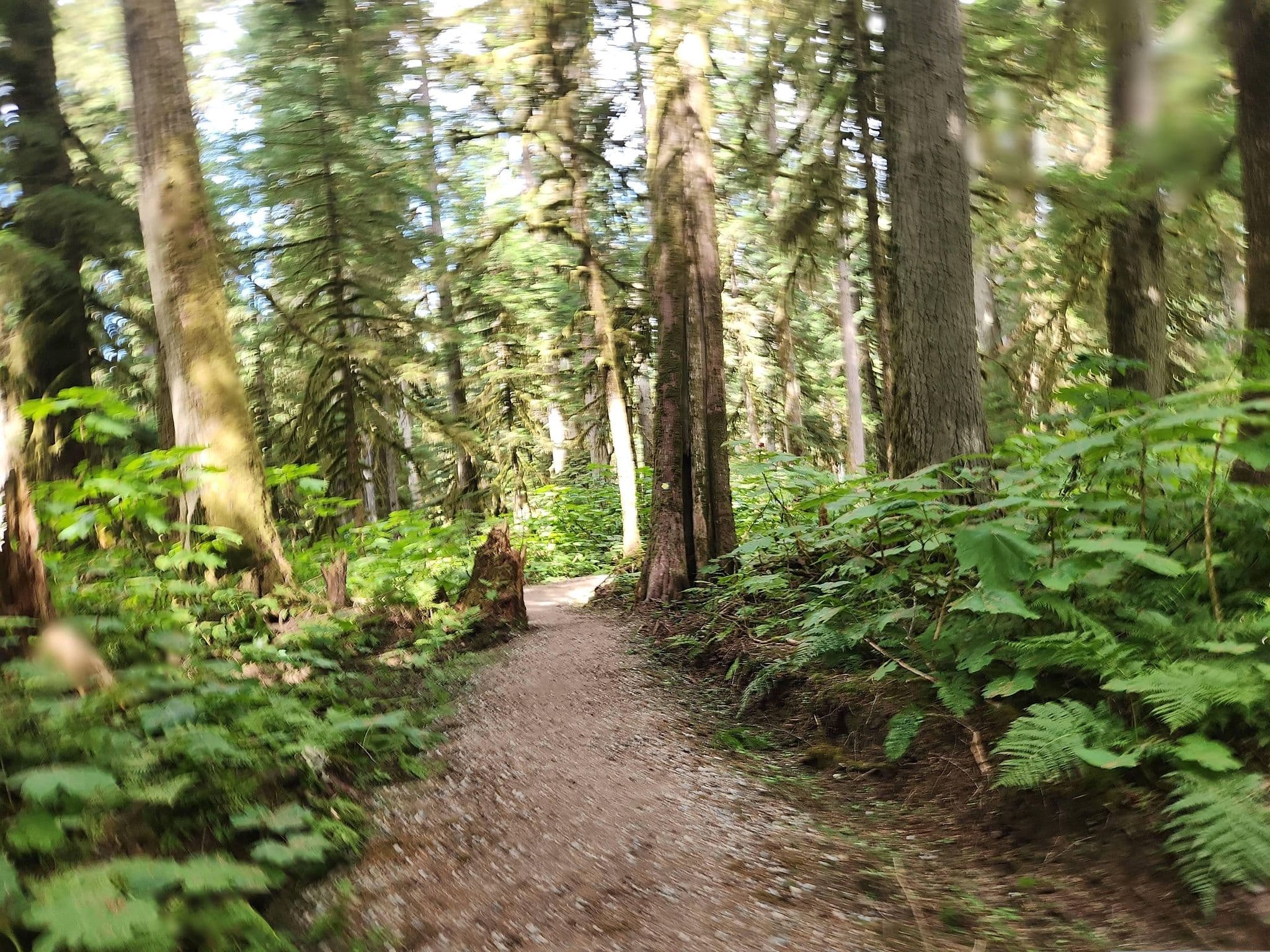 Street view near Hirsch Creek Park Campground, Kitimat — © rps333 (CC BY-SA · Mapillary)