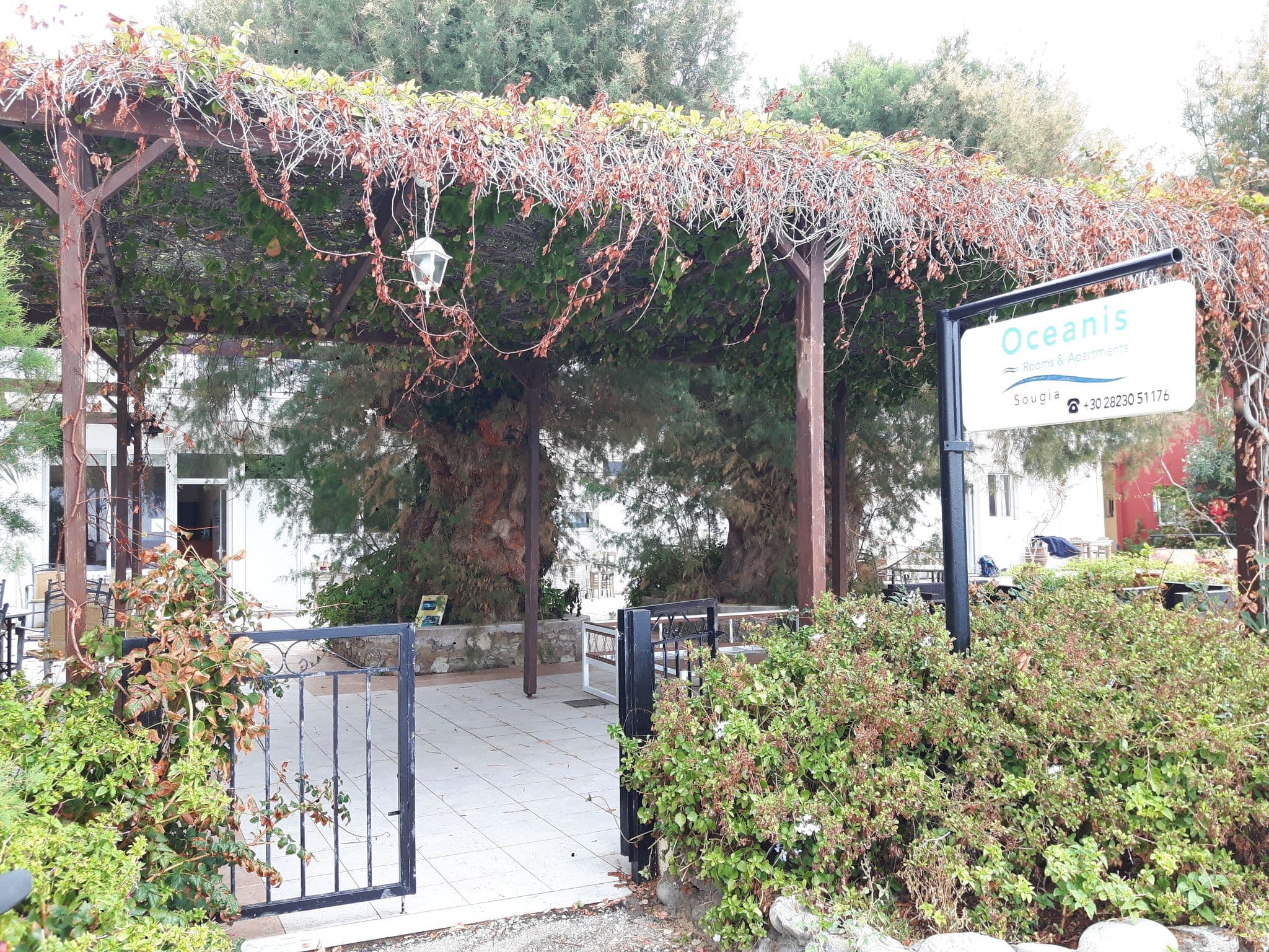 Street view near Ririka, Palaióchora — © gevau (CC BY-SA · Mapillary)
