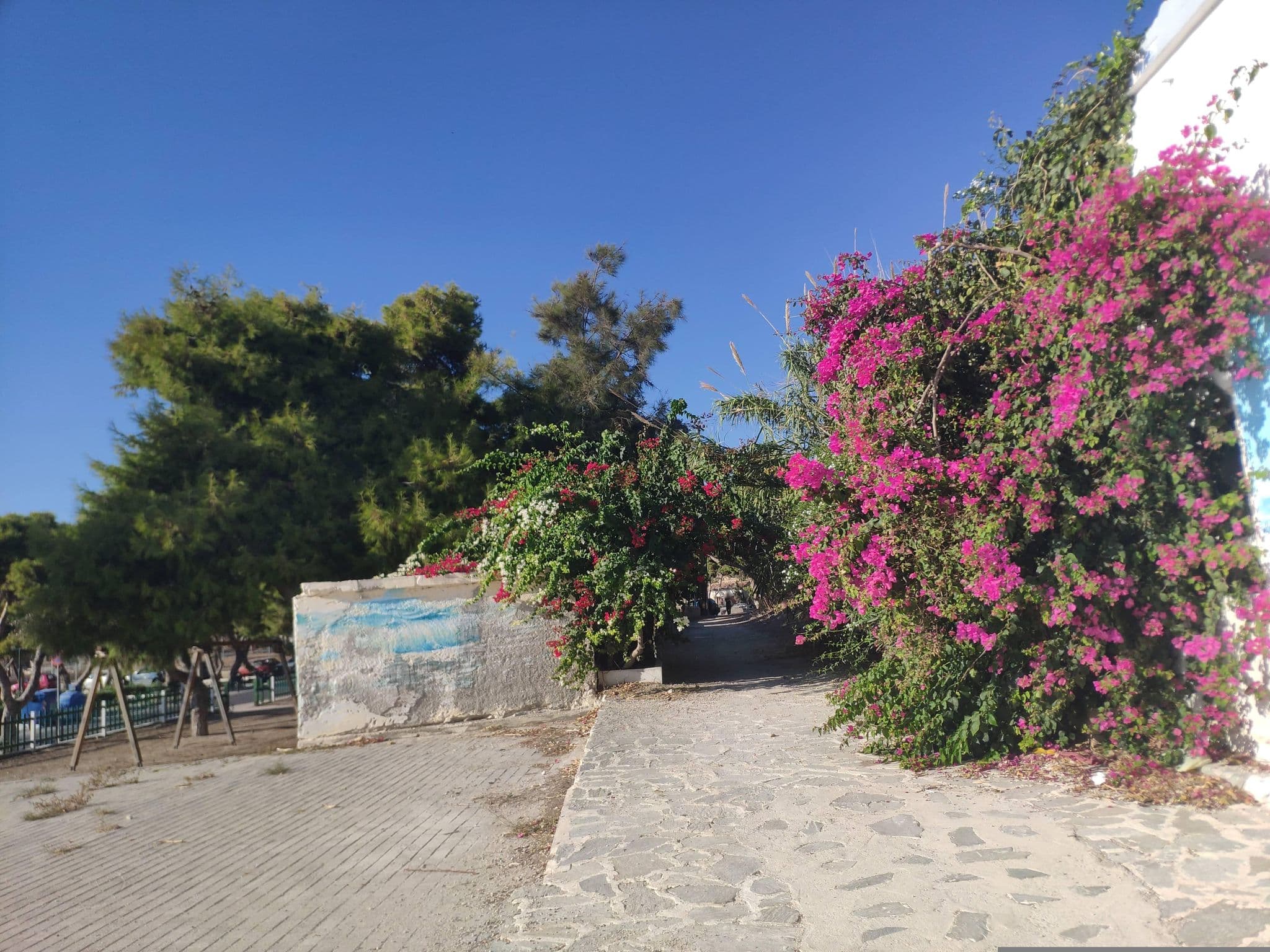 Street view near Ναυσικα, Aegina — © pppetros (CC BY-SA · Mapillary)
