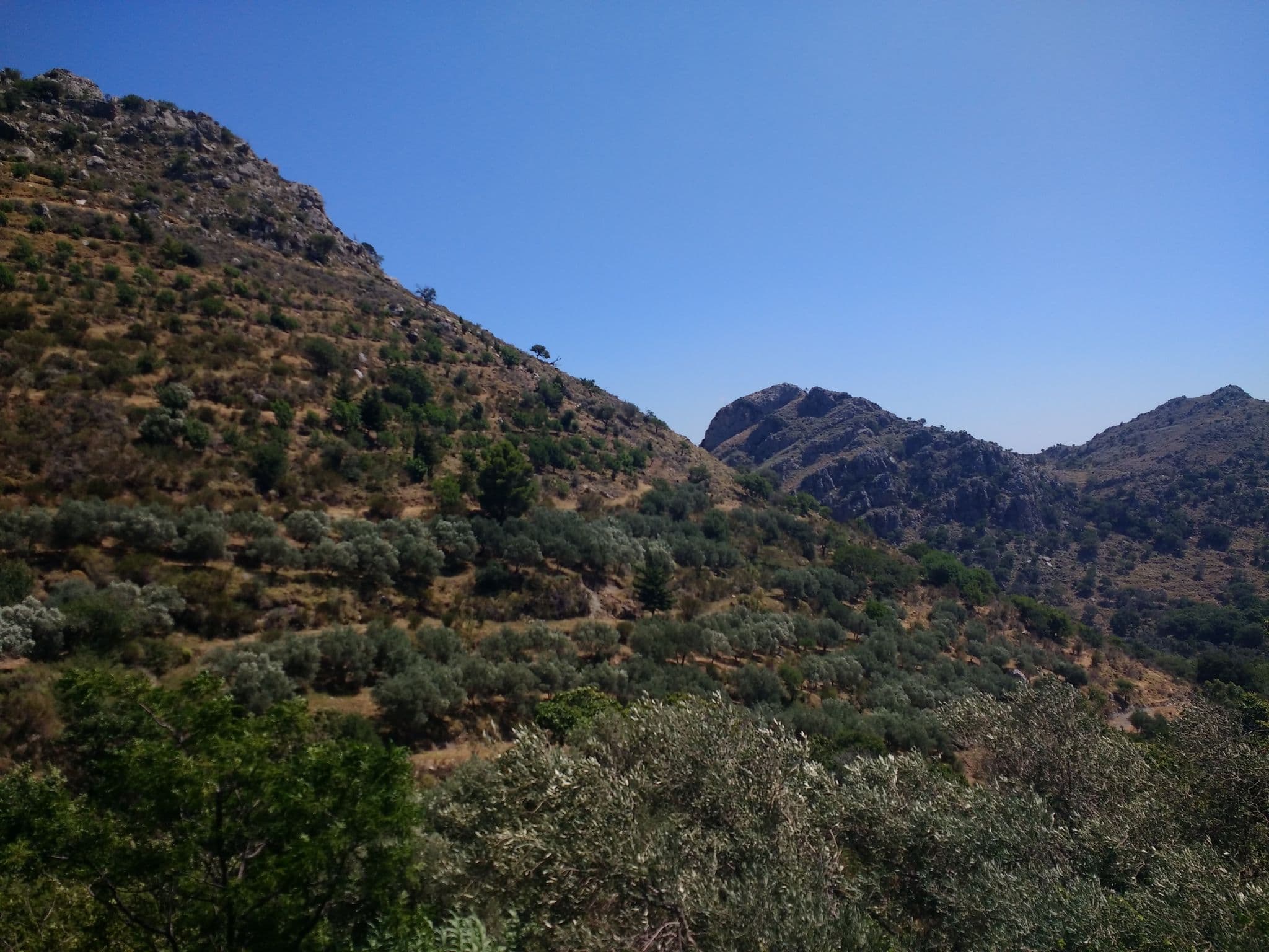 Street view near Milia Traditional Village, Kíssamos — © rschmehl (CC BY-SA · Mapillary)