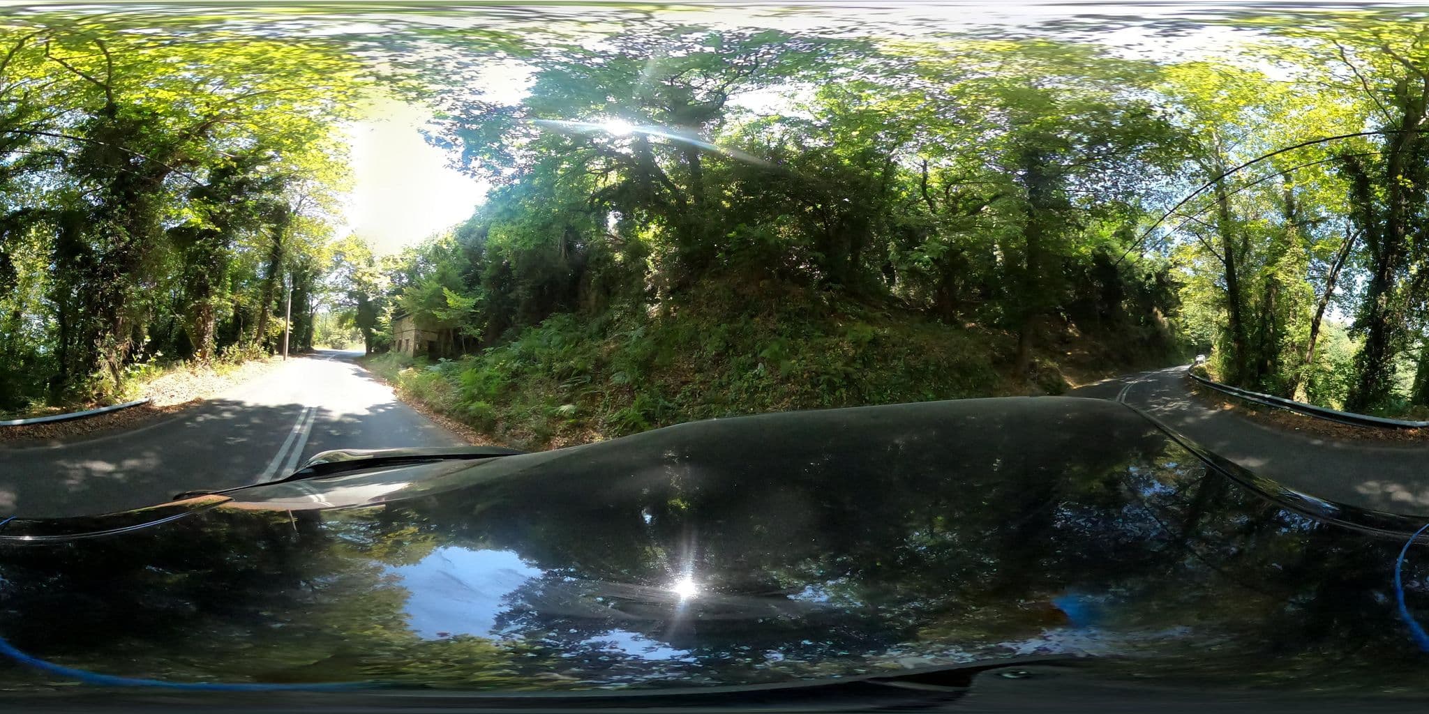 Street view near Castanea Sativa, Mouresi — © geraki (CC BY-SA · Mapillary)