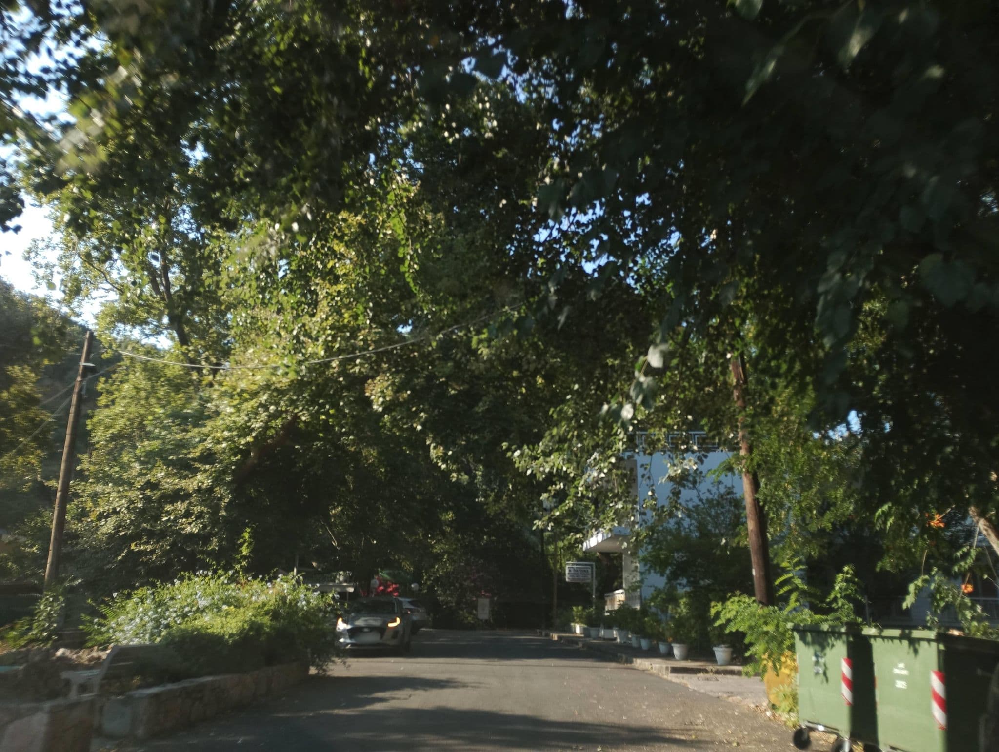 Street view near Ξενοδοχείο "40 πλατάνια", Loutrá Aidhipsoú — © George_210 (CC BY-SA · Mapillary)