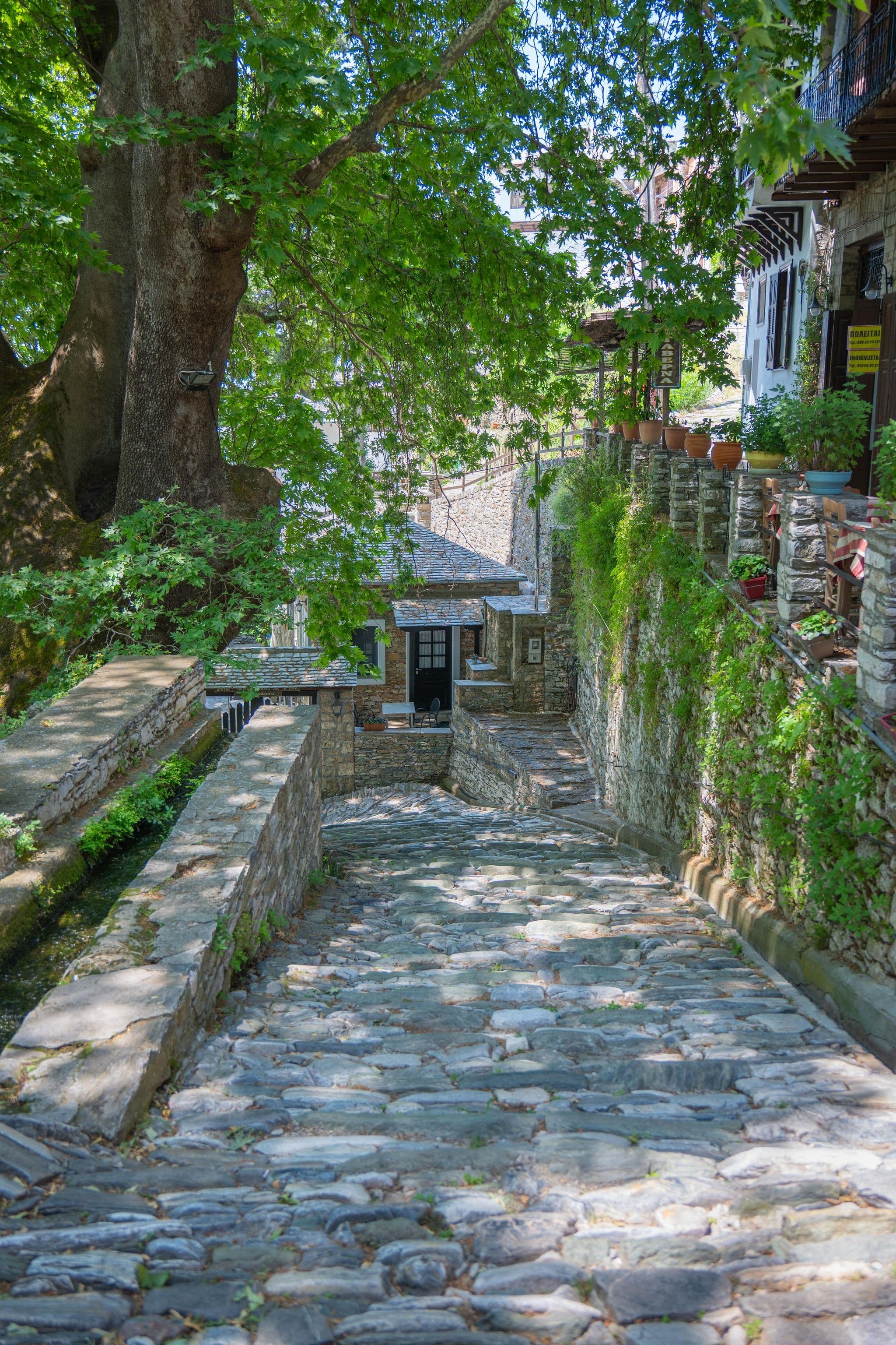 Street view near Sisilianou, Portariá — © algirdasc (CC BY-SA · Mapillary)