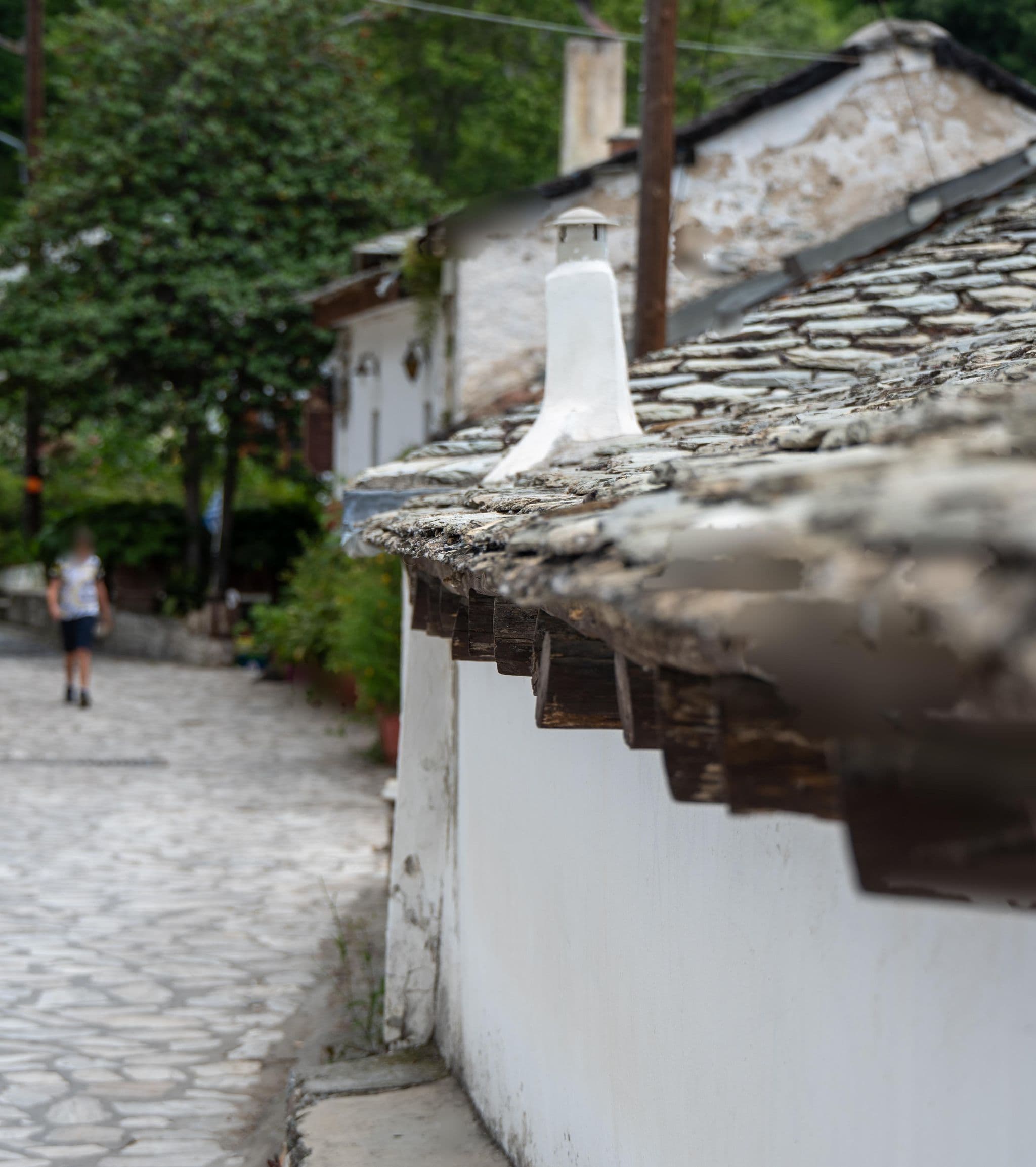 Street view near Arhontiko REPANA, Portariá — © algirdasc (CC BY-SA · Mapillary)