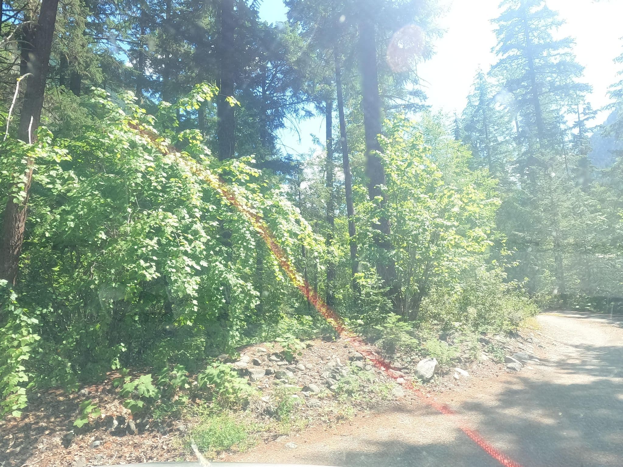 Street view near Cinnamon Recreation Site, Lillooet — © rps333 (CC BY-SA · Mapillary)