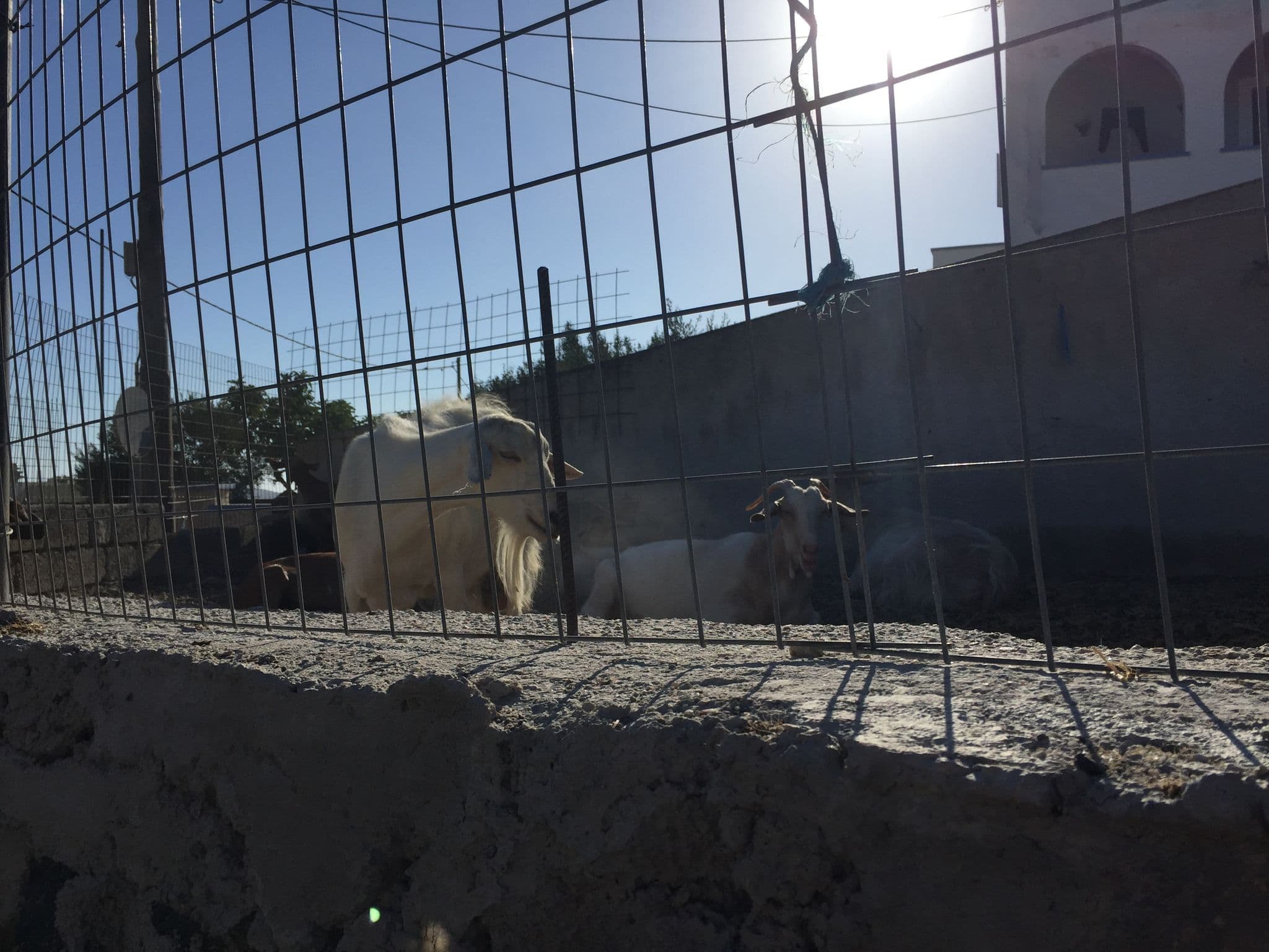 Street view near Imerovigli Palace Luxury Suites, Emporeío — © coc5310 (CC BY-SA · Mapillary)