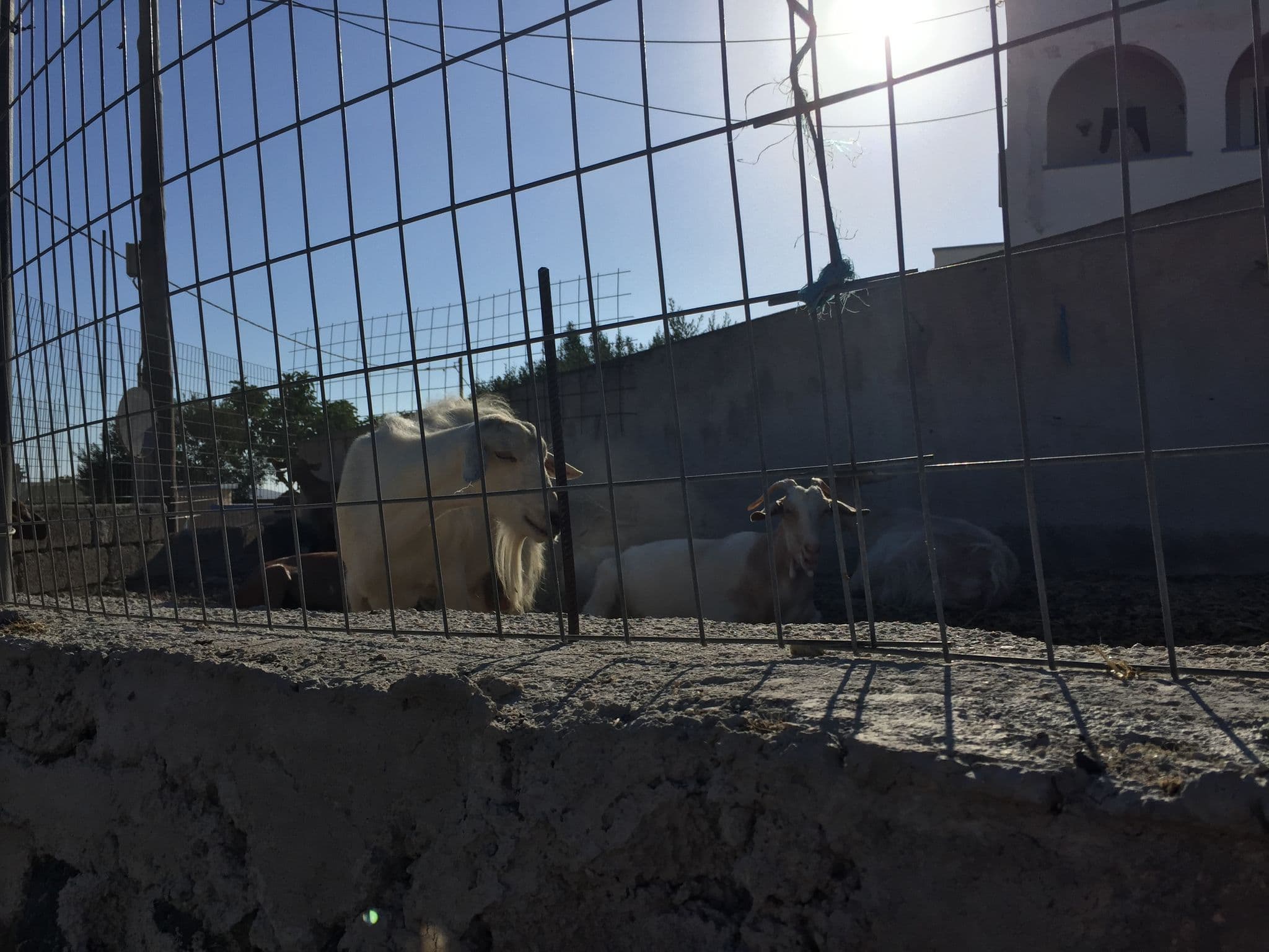 Street view near Mansion Sophia, Emporeío — © coc5310 (CC BY-SA · Mapillary)