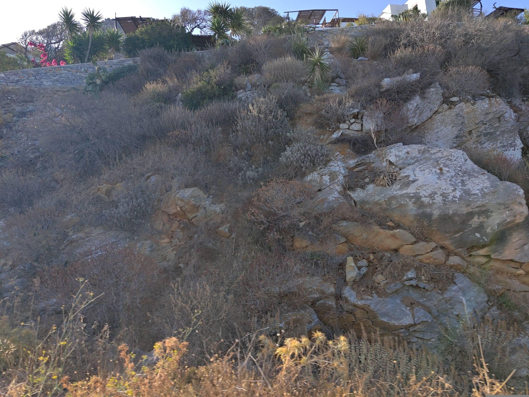 Street view near Pano Gitonia, Filótion — © kibour (CC BY-SA · Mapillary)