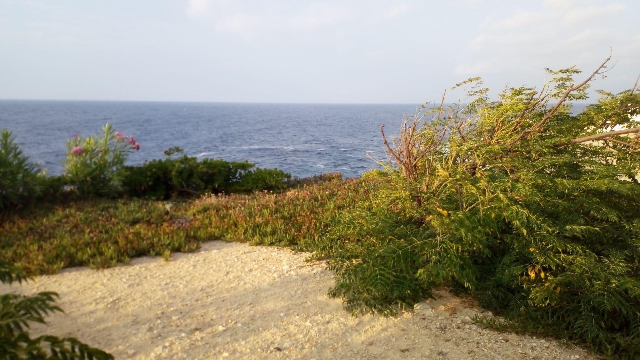 Street view near Kimothoy, Agios Kirykos — © vaspag (CC BY-SA · Mapillary)