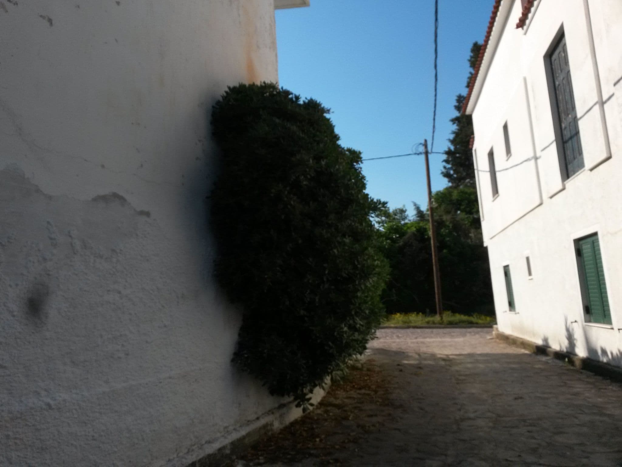 Street view near akrogialia rooms, Loutrópoli Thermís — © kay_d (CC BY-SA · Mapillary)