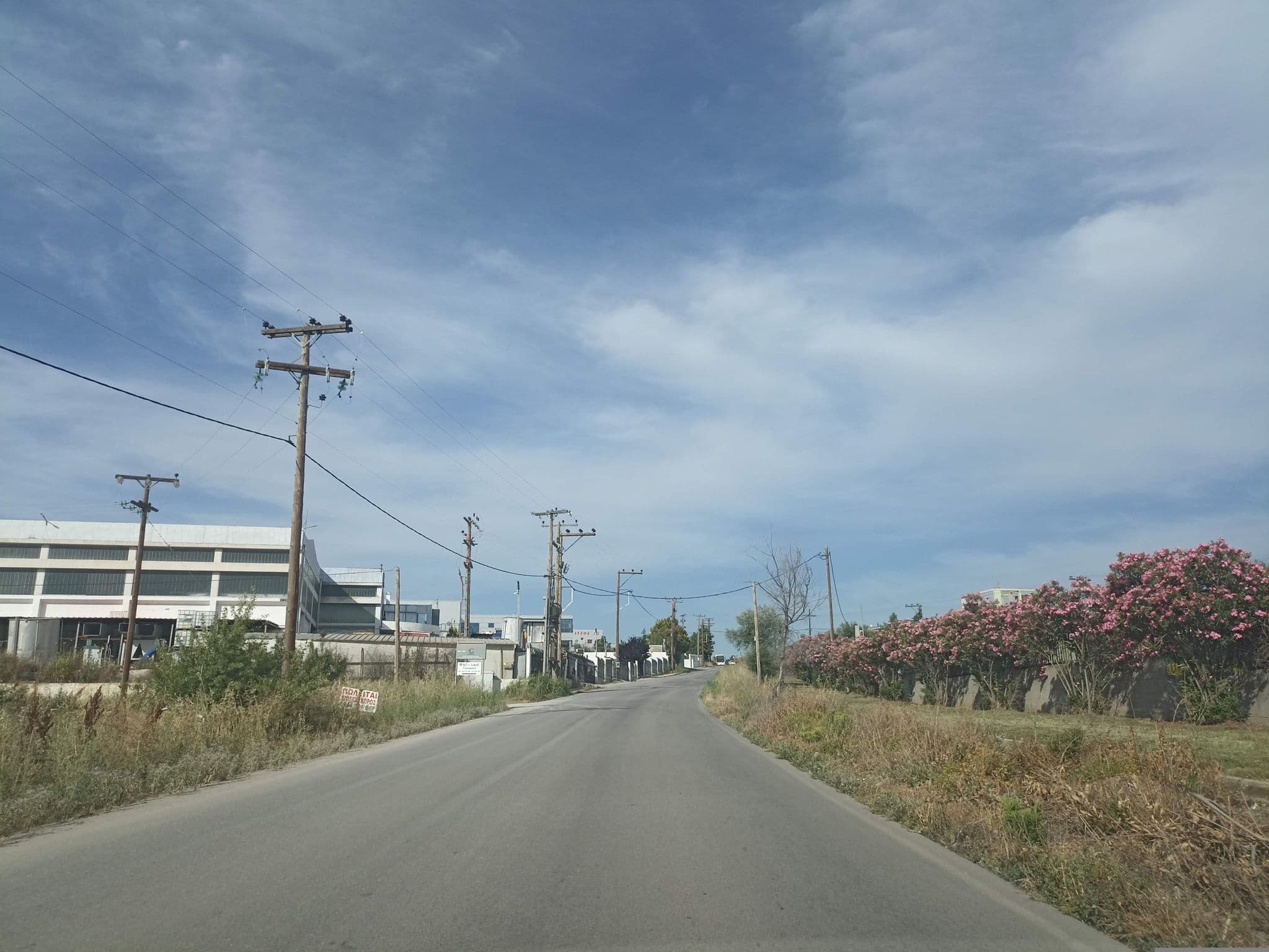 Street view near Tania Hotel, Diavatá — © geraki (CC BY-SA · Mapillary)