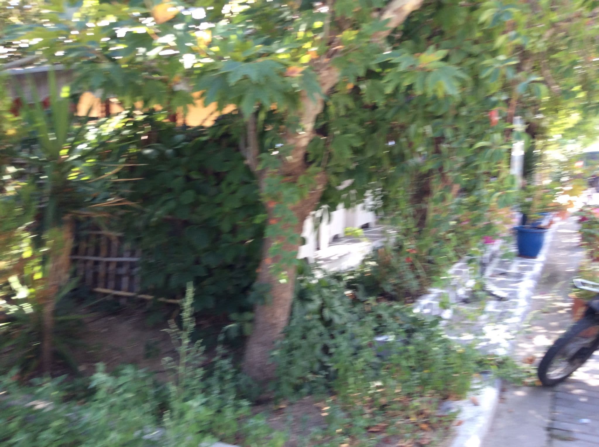 Street view near Chrisula, Sárti — © timetaxi (CC BY-SA · Mapillary)
