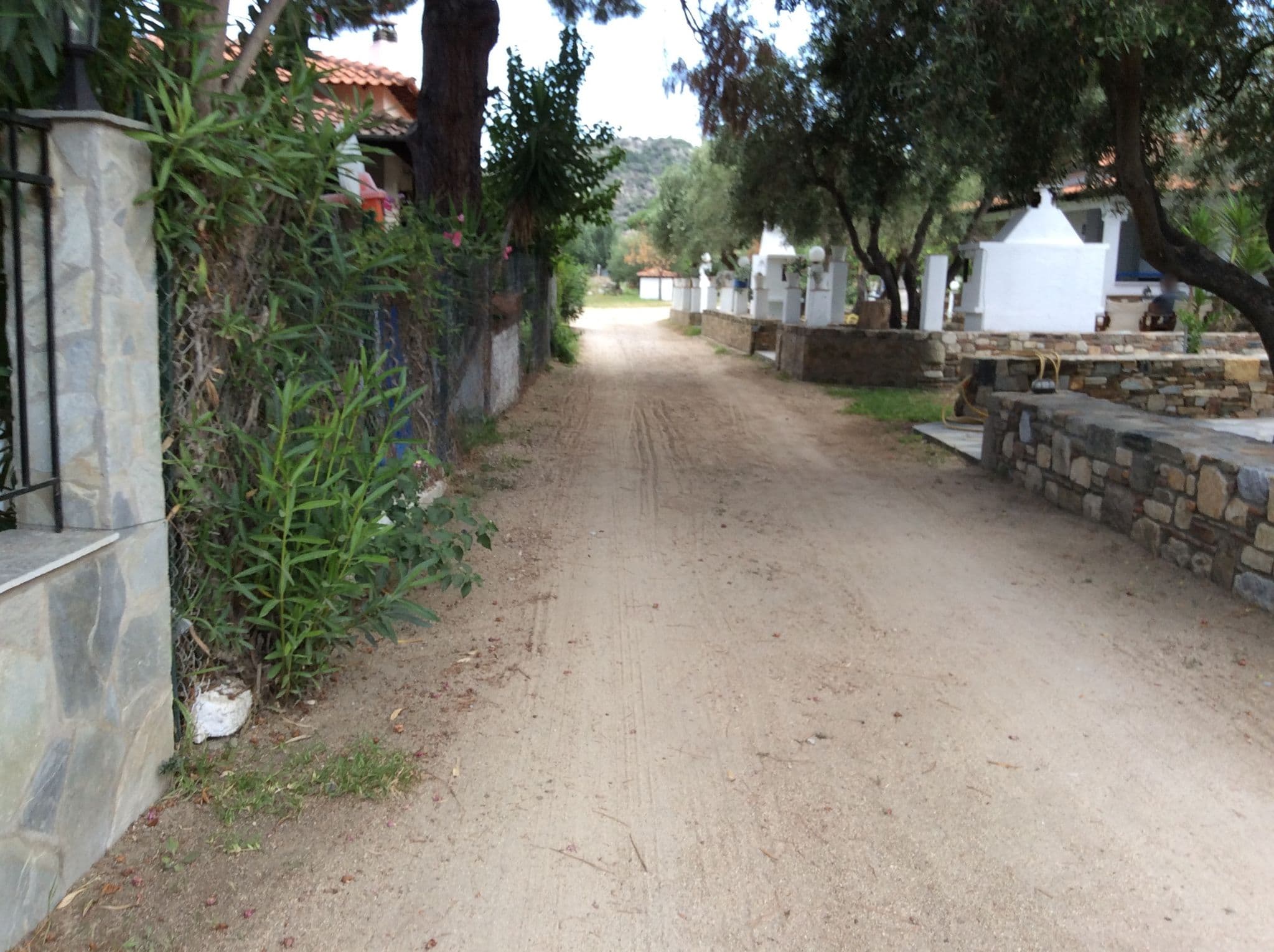 Street view near ToroniDreams Maria's Villa , Sykiá — © timetaxi (CC BY-SA · Mapillary)
