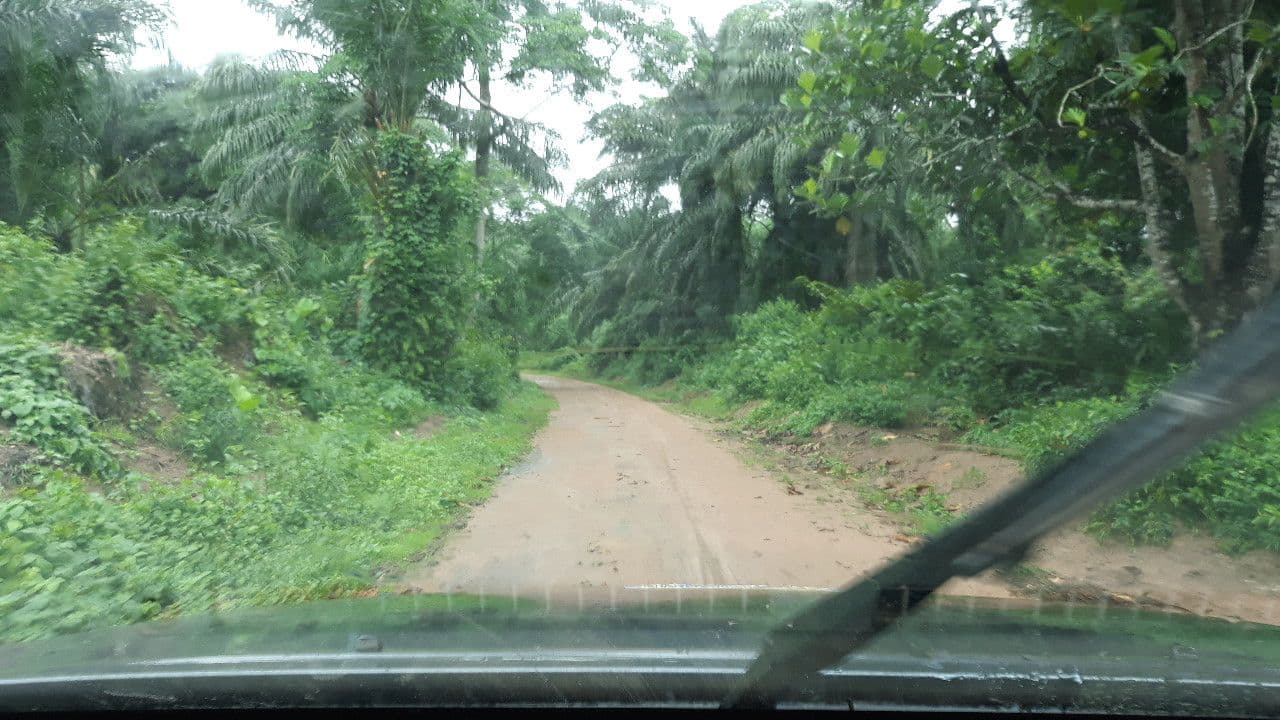 Street view near Bopimbwa, Lisala — © pmbuya (CC BY-SA · Mapillary)