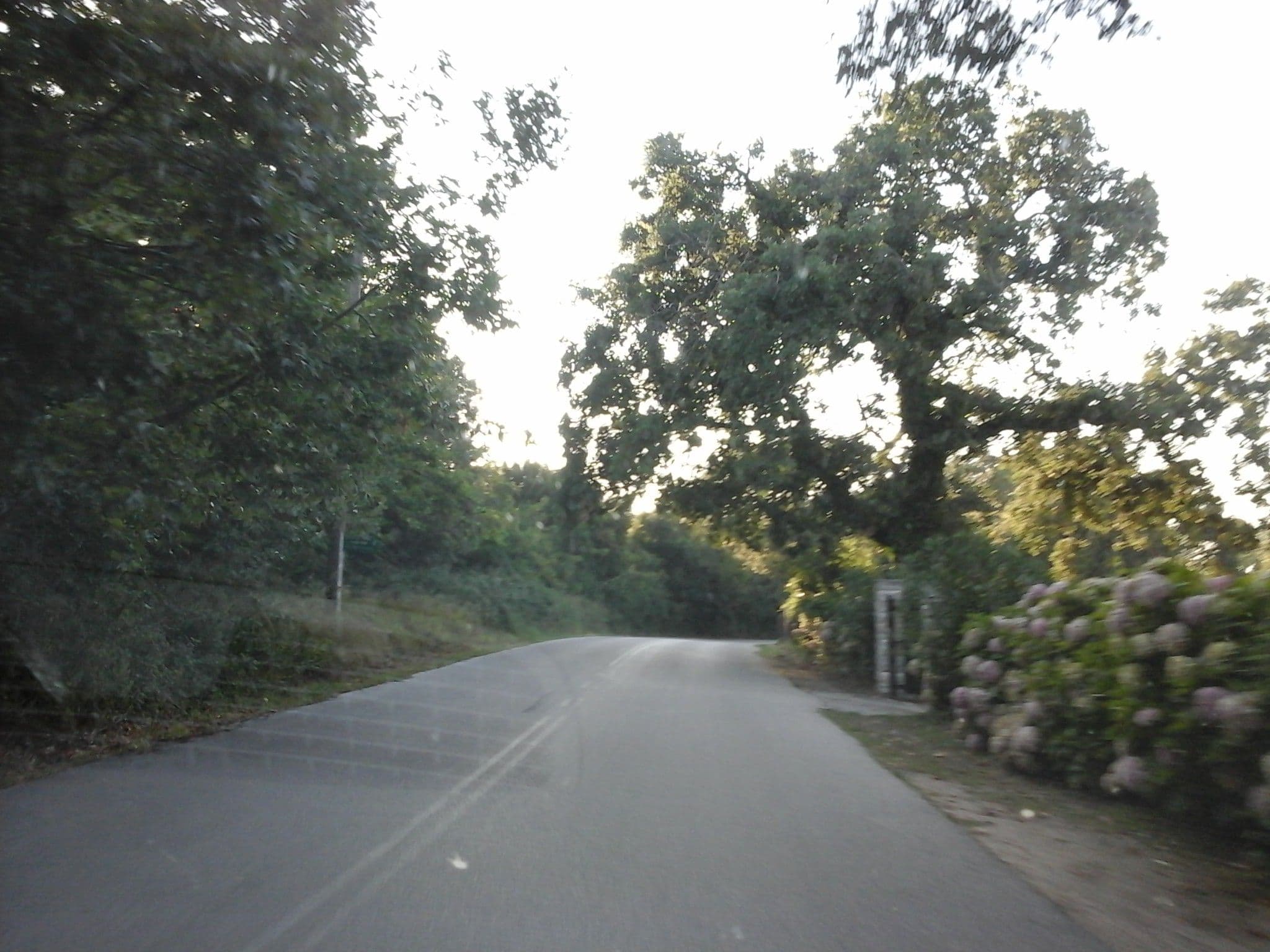 Street view near Villa Aravia, Kamariótissa — © robot8a (CC BY-SA · Mapillary)