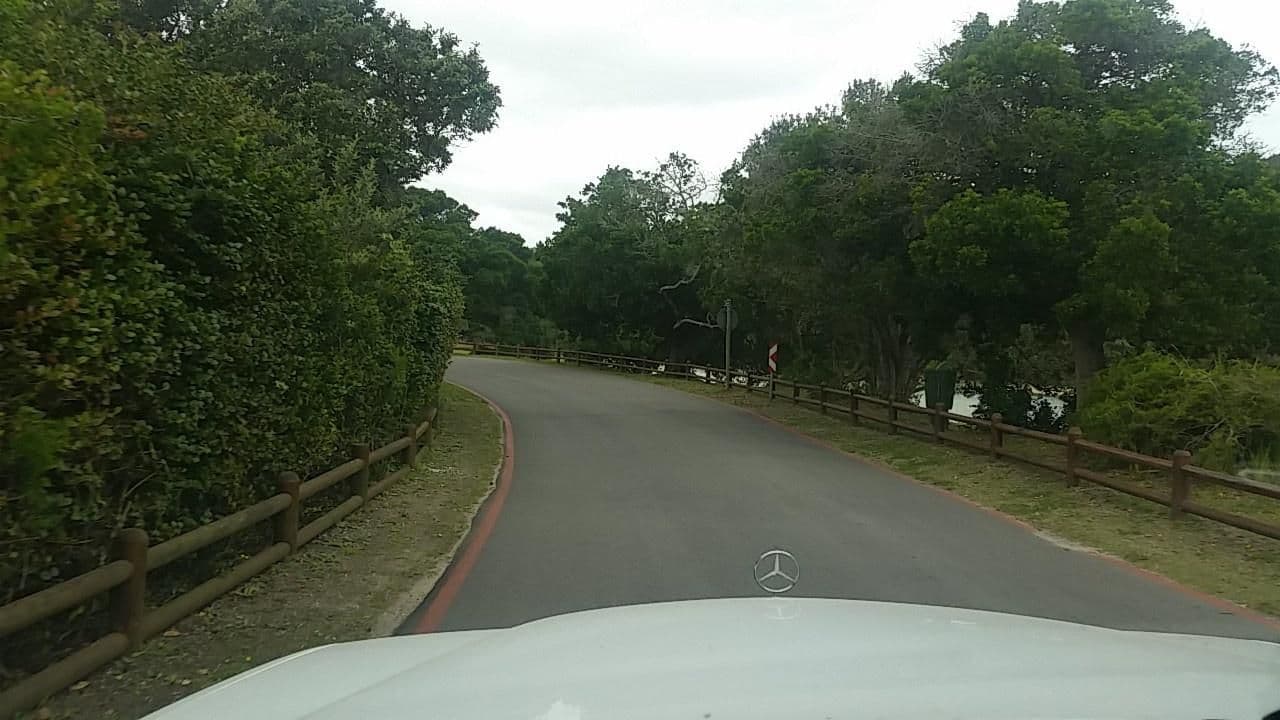 Street view near Greenhole Cottage, Knysna — © patrick_dalais (CC BY-SA · Mapillary)