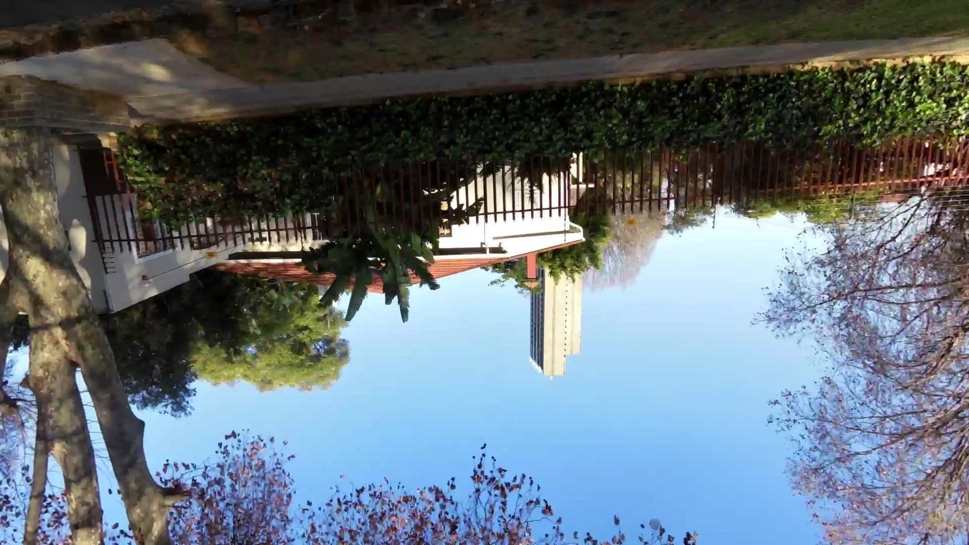 Street view near Twickenham Guest Lodge, Johannesburg — © kaartcam (CC BY-SA · Mapillary)
