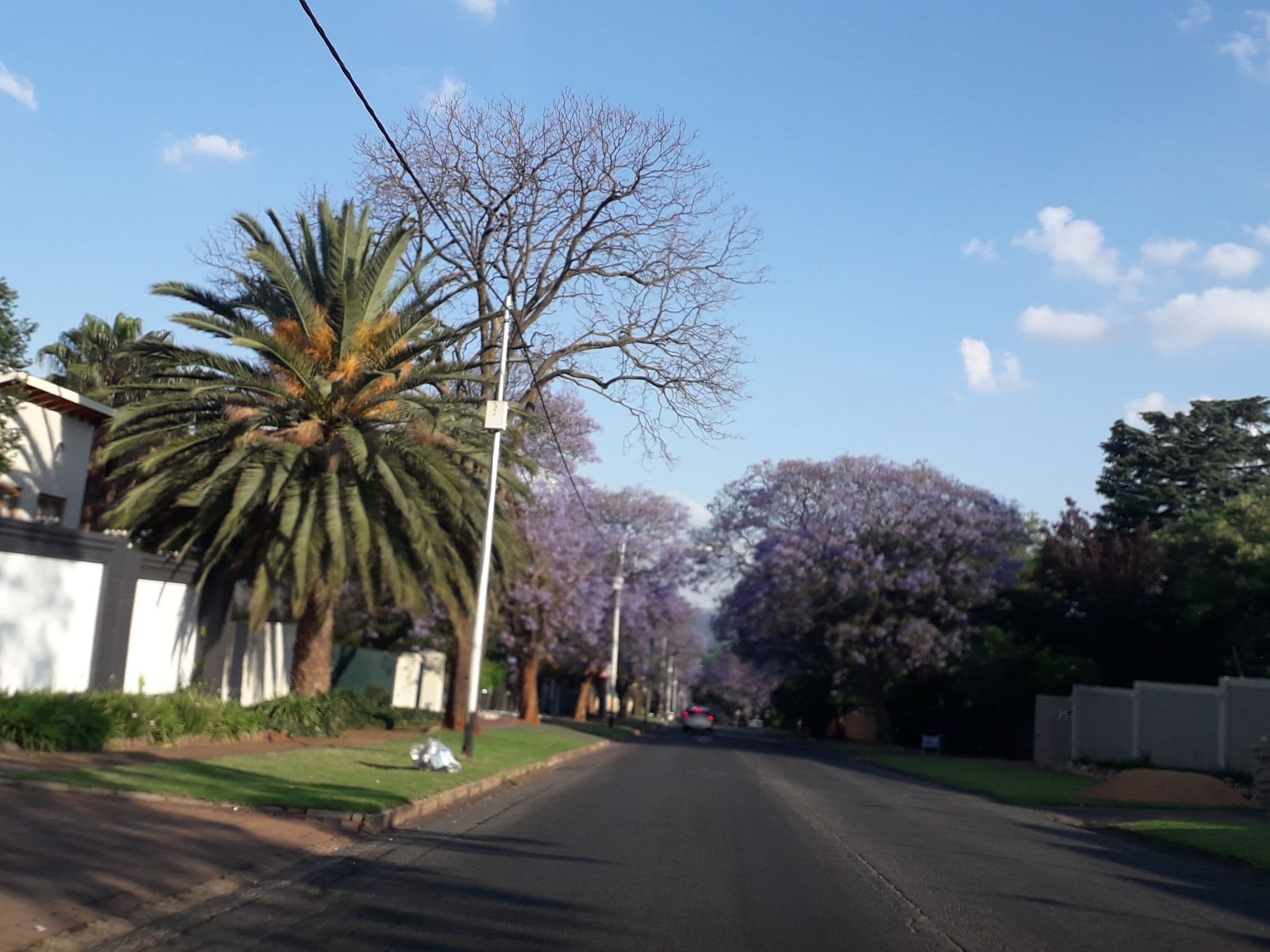 Street view near Farmhouse BnB, Randburg — © lenah (CC BY-SA · Mapillary)