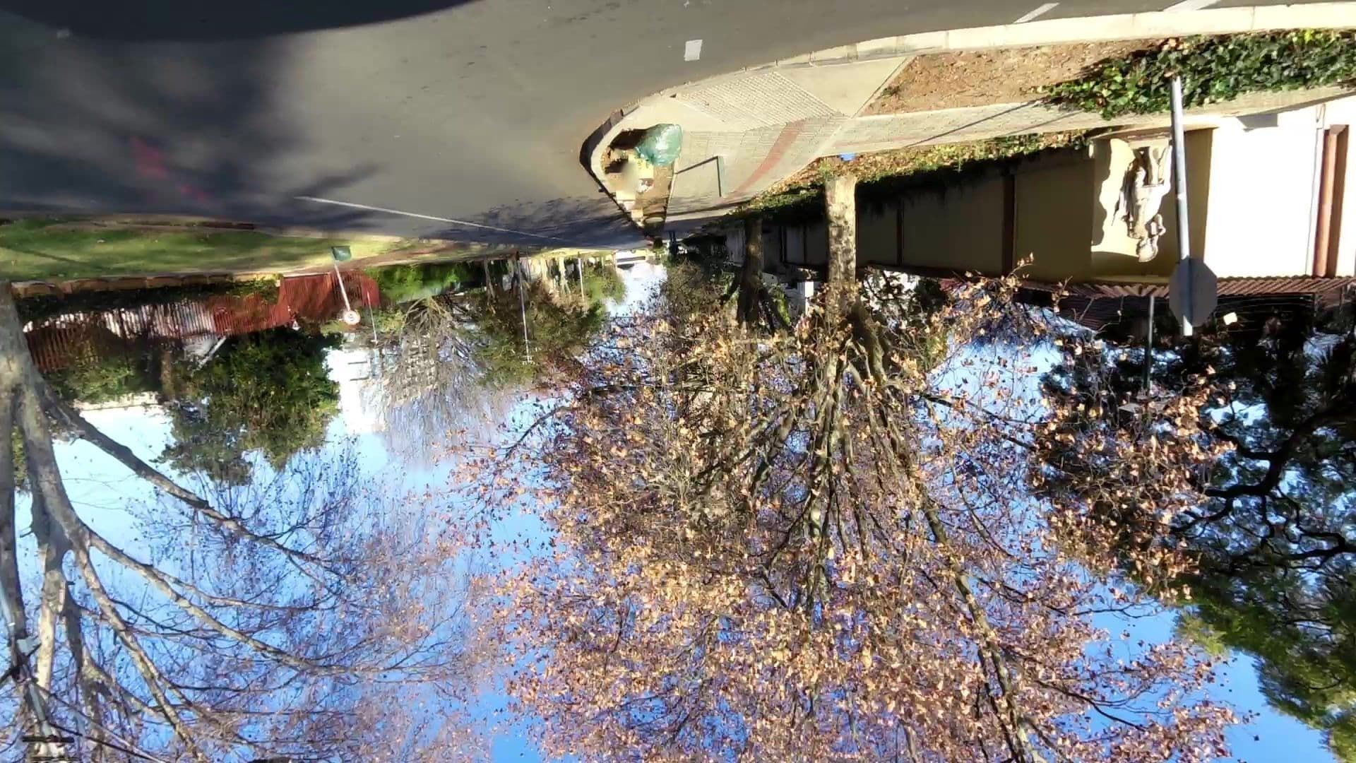Street view near Twickenham Guesthouse, Johannesburg — © kaartcam (CC BY-SA · Mapillary)