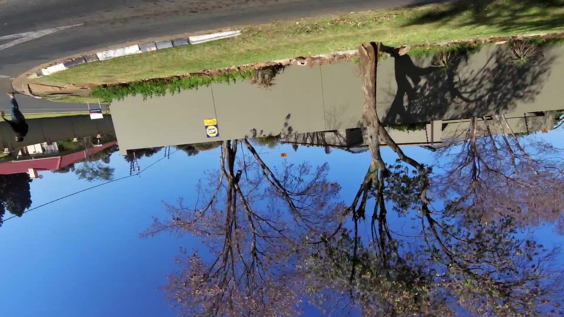 Street view near Drifters Lodge Johannesburg, Randburg — © kaartcam (CC BY-SA · Mapillary)