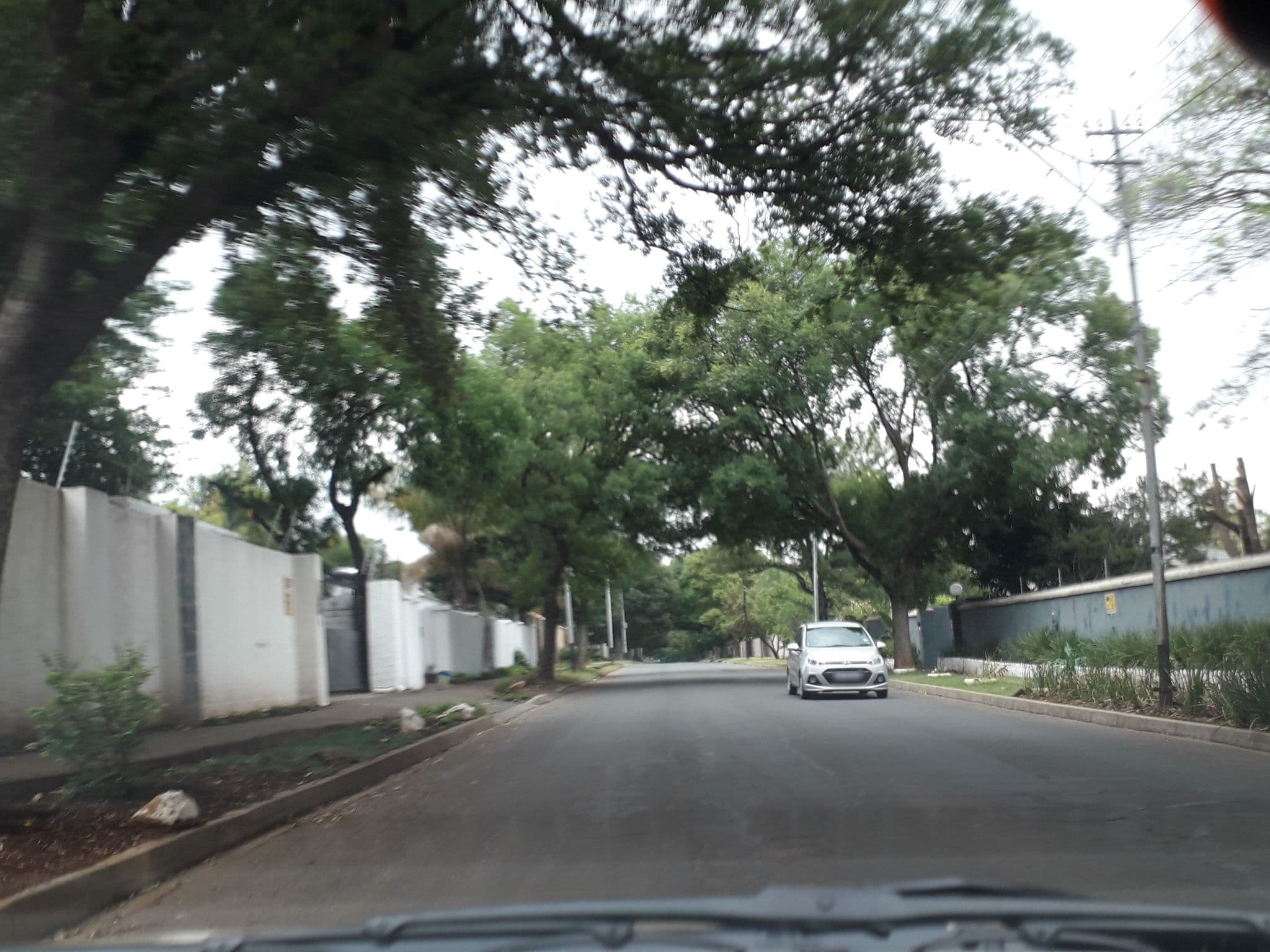 Street view near Bramley Lodge, Alexandra — © lenah (CC BY-SA · Mapillary)