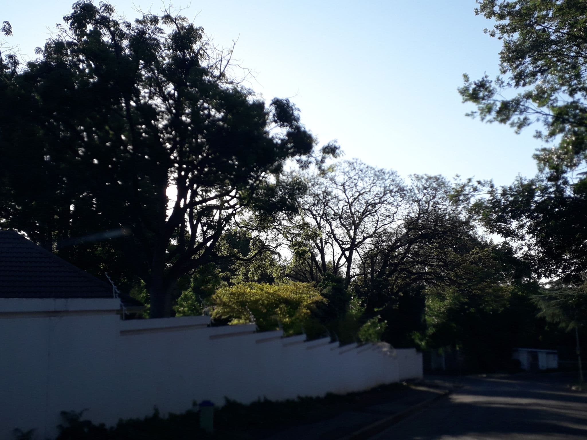 Street view near Magelevendze Hotel & Guest House, Johannesburg — © lenah (CC BY-SA · Mapillary)