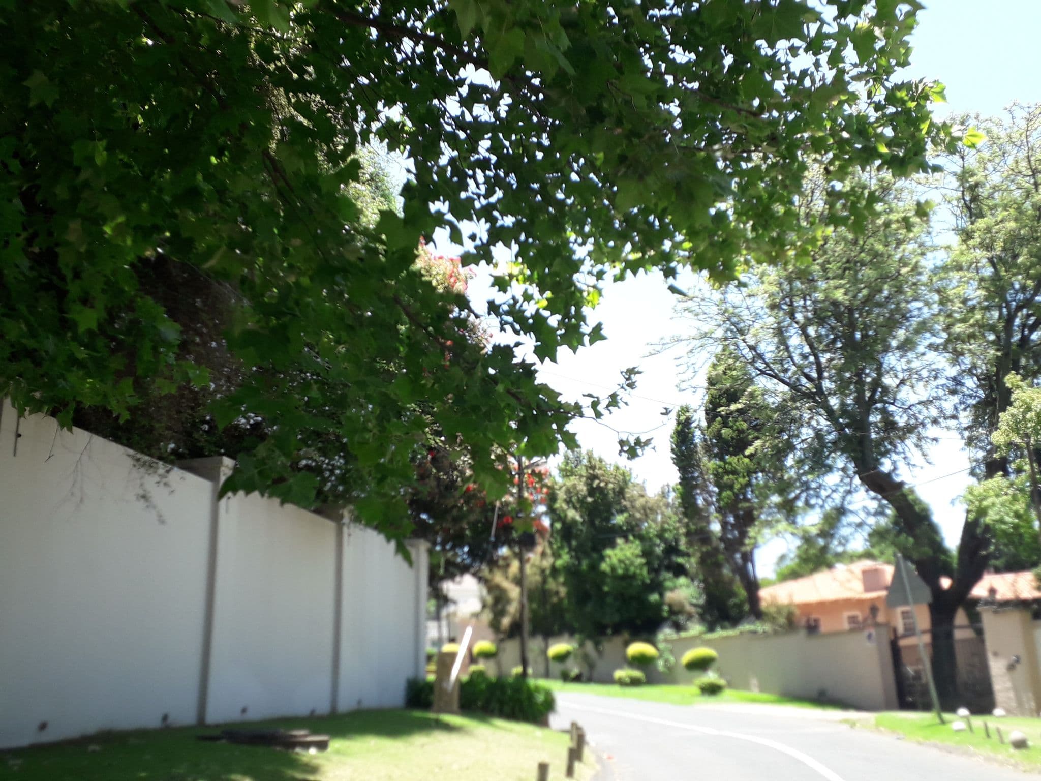 Street view near Sandton Lodge, Alexandra — © lenah (CC BY-SA · Mapillary)