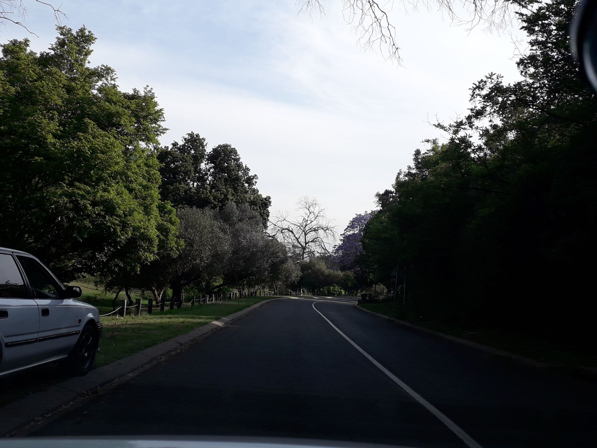 Street view near 2 Leafed Doors, Randburg — © lenah (CC BY-SA · Mapillary)