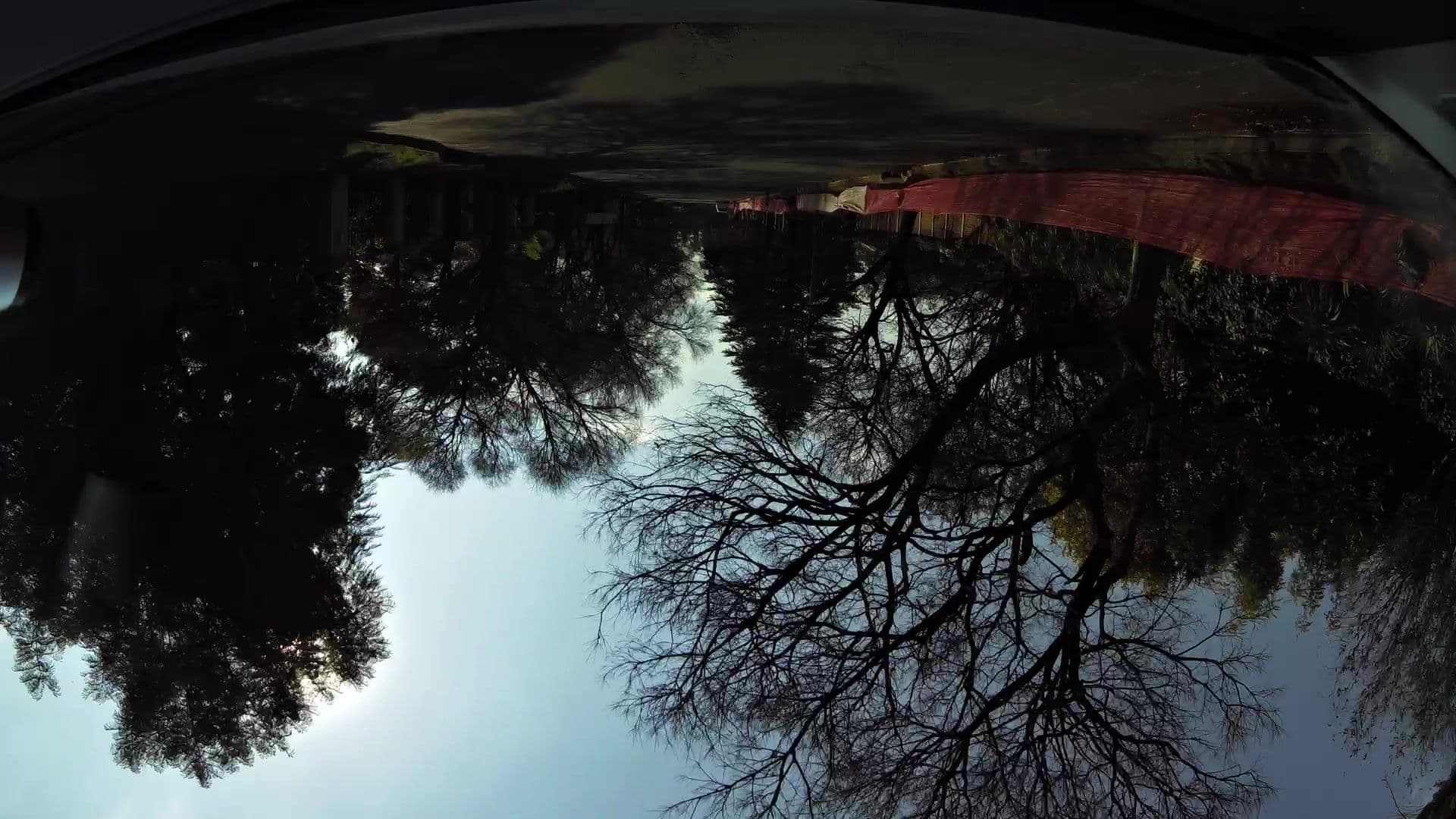 Street view near Eagle Rock Executive GuestHouse, Modderfontein — © kaartcam (CC BY-SA · Mapillary)