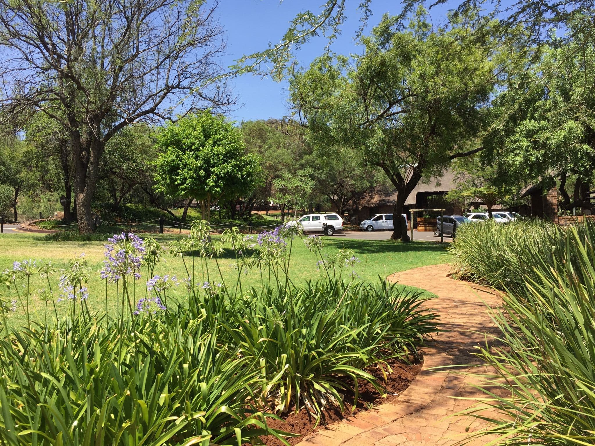 Street view near Room 105, Sun City — © suhajdab (CC BY-SA · Mapillary)
