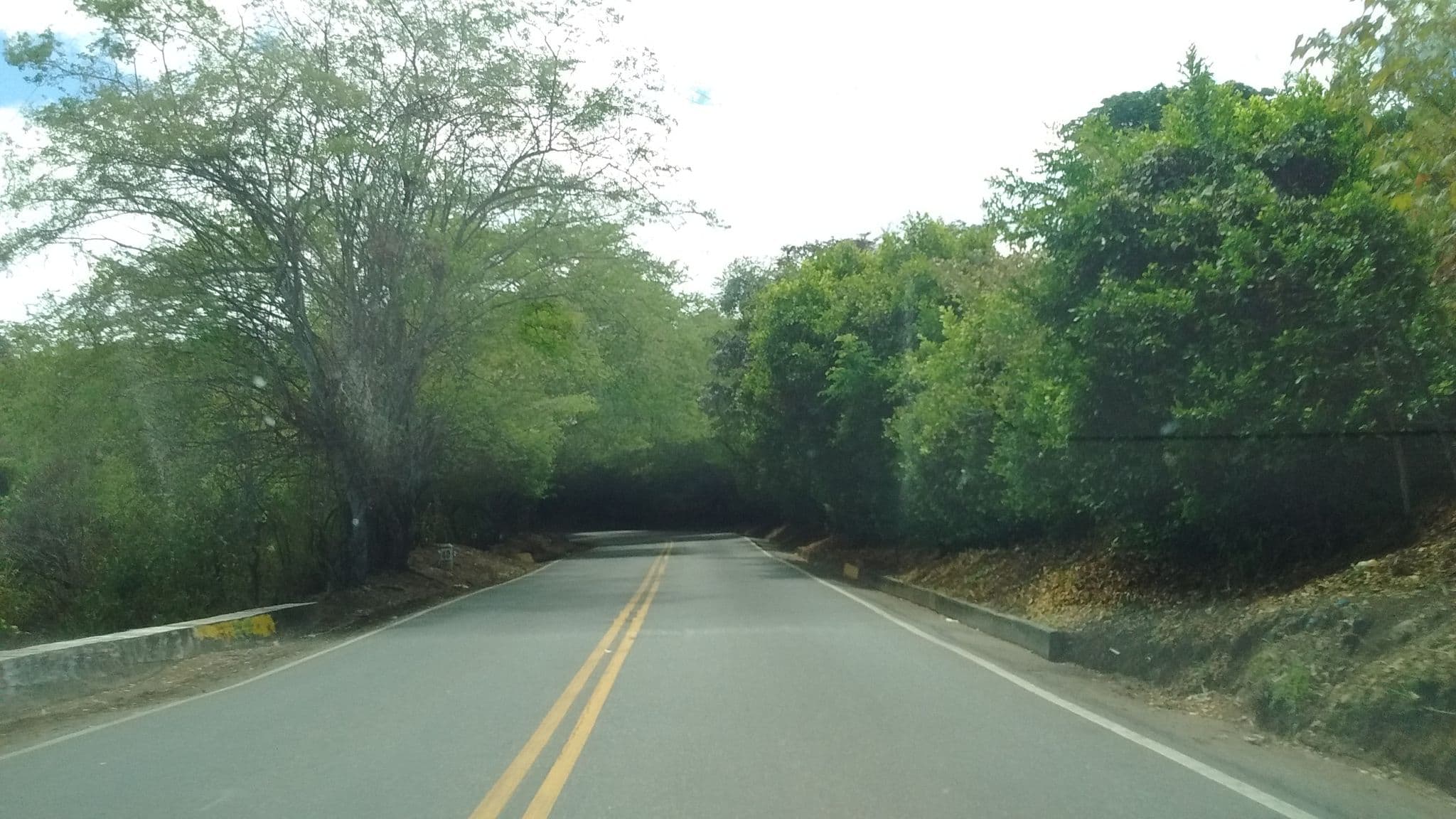 Street view near Hotel Campestre Miravalle, El Bordo — © kaxtillo (CC BY-SA · Mapillary)