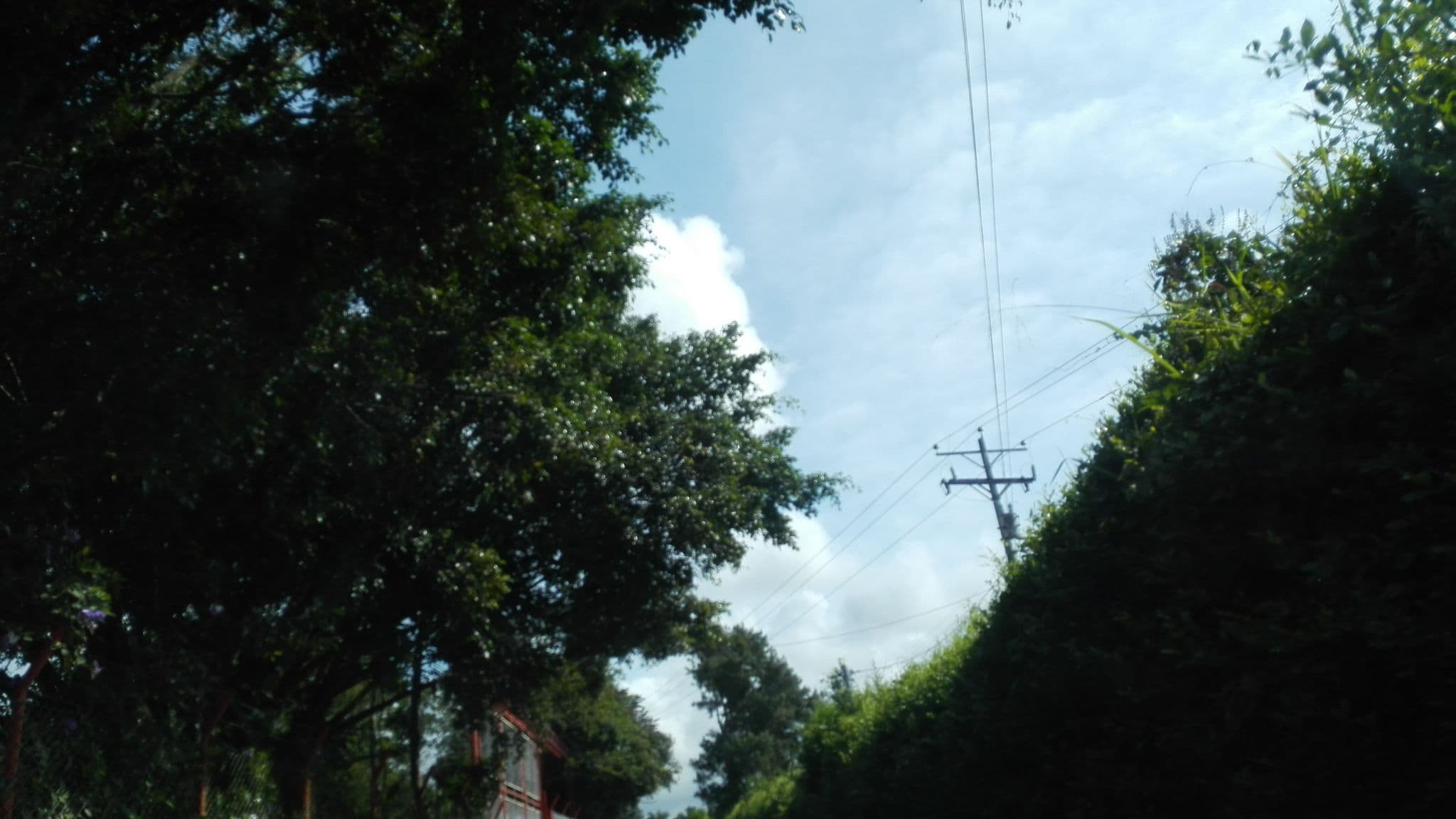 Street view near La Manuela, Montenegro — © anferas (CC BY-SA · Mapillary)