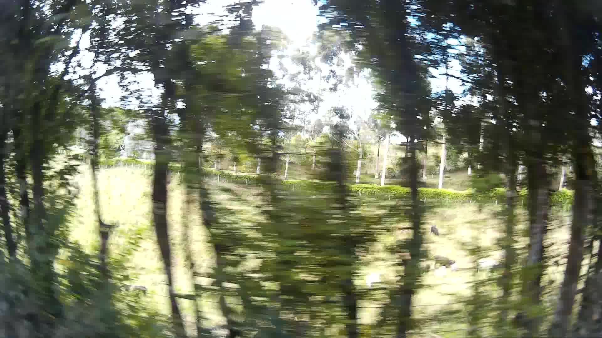 Street view near Finca La Rivera, Ulloa — © ccossio (CC BY-SA · Mapillary)