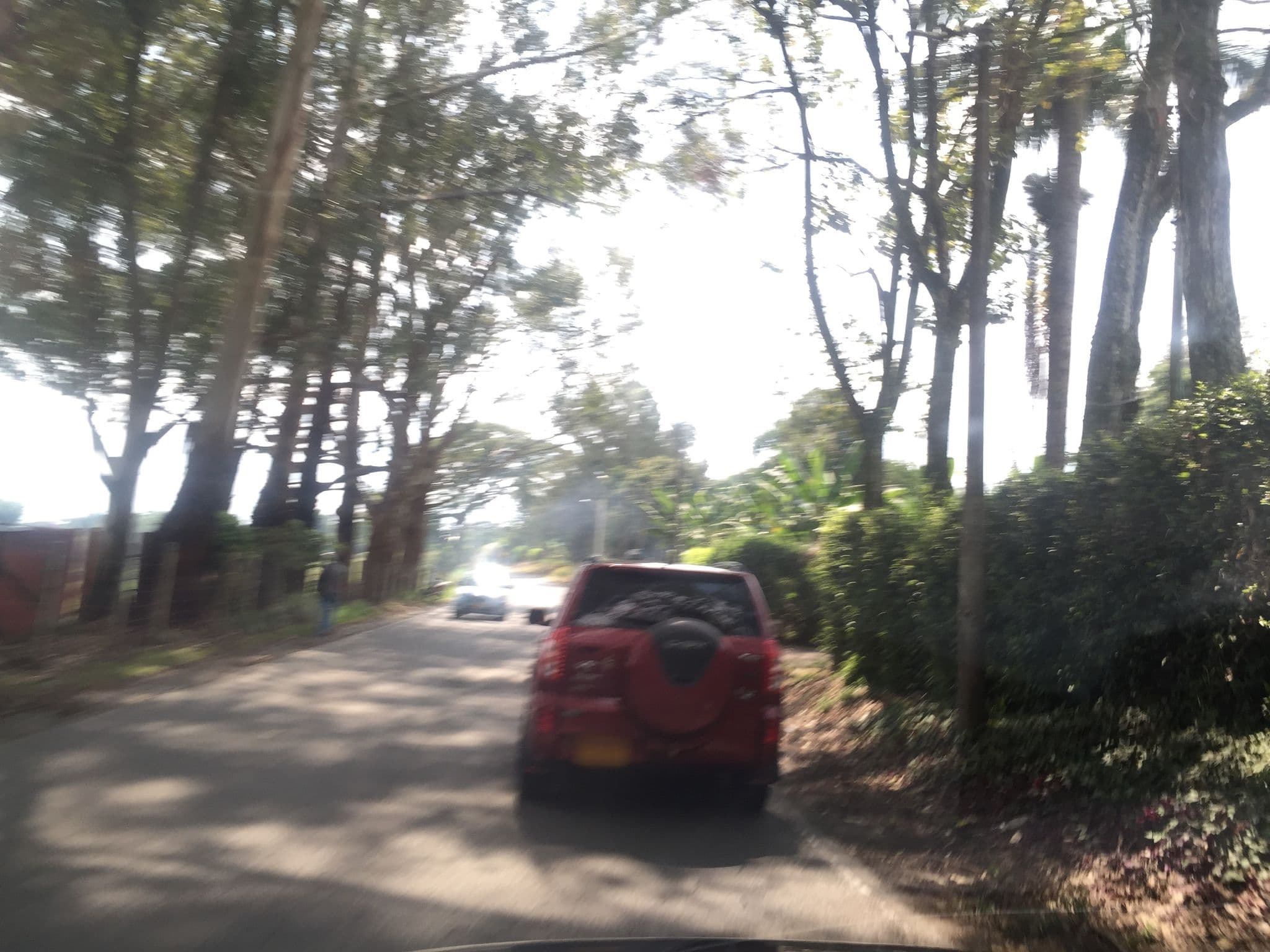 Street view near Malaga, Montenegro — © hk6f (CC BY-SA · Mapillary)