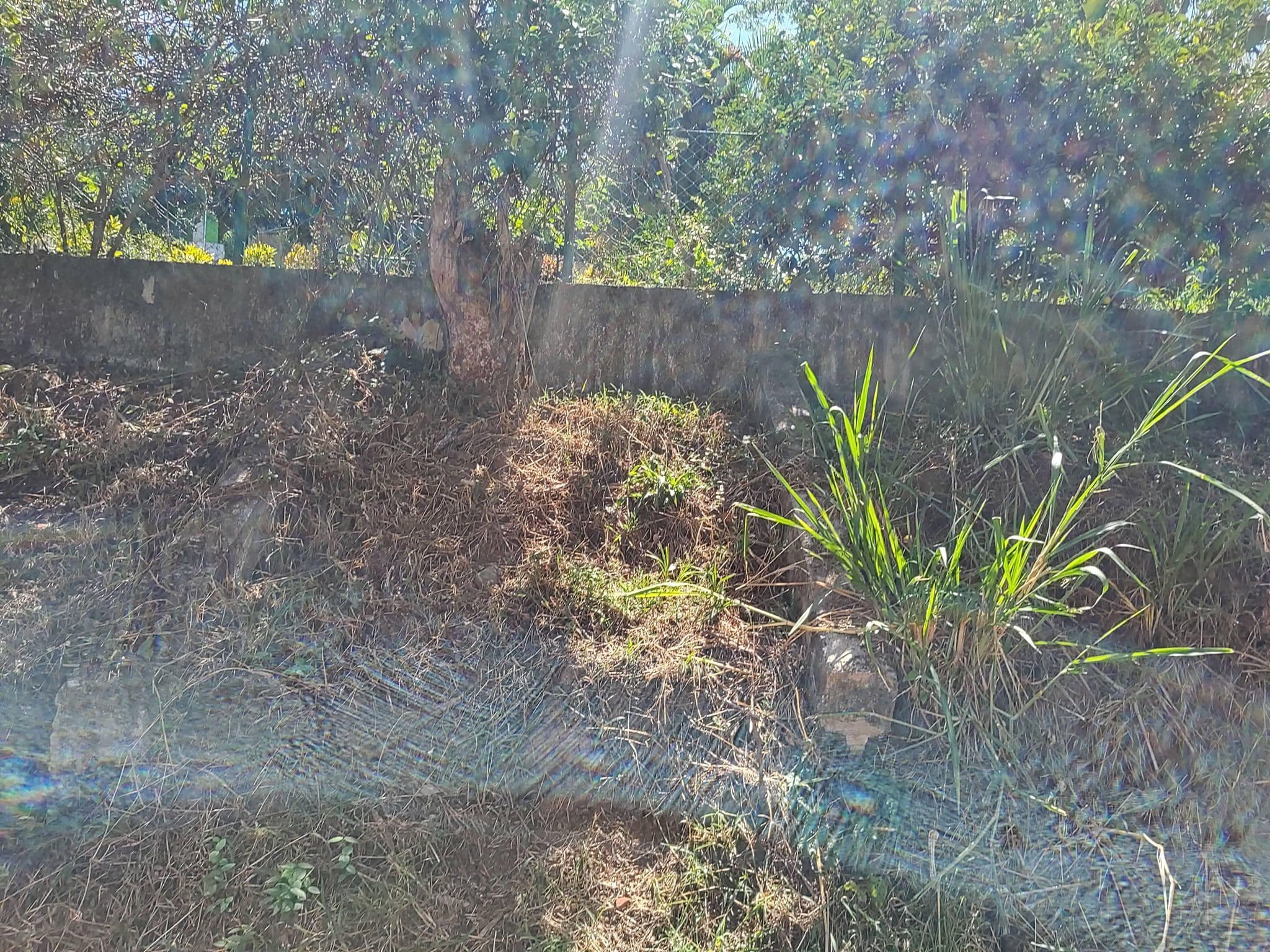 Street view near Finca Paraiso, Pandi, Pandi — © luispulido (CC BY-SA · Mapillary)