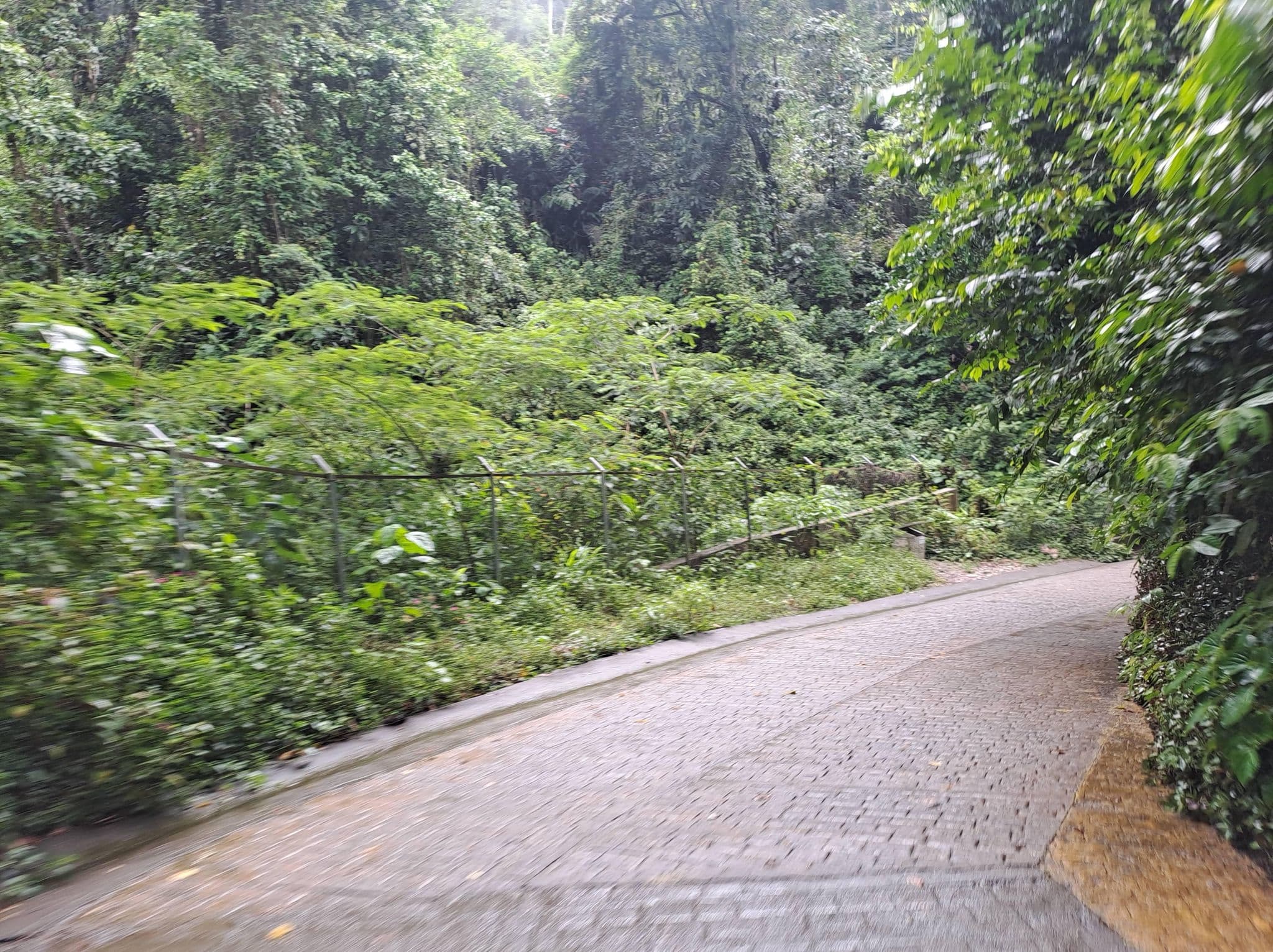 Street view near La Nube Ecohotel, Villavicencio — © rediah10k (CC BY-SA · Mapillary)