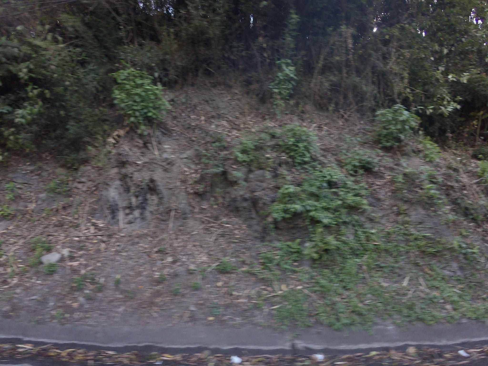 Street view near Gran Hotel Refugio Primaveral, Villeta — © angoca (CC BY-SA · Mapillary)