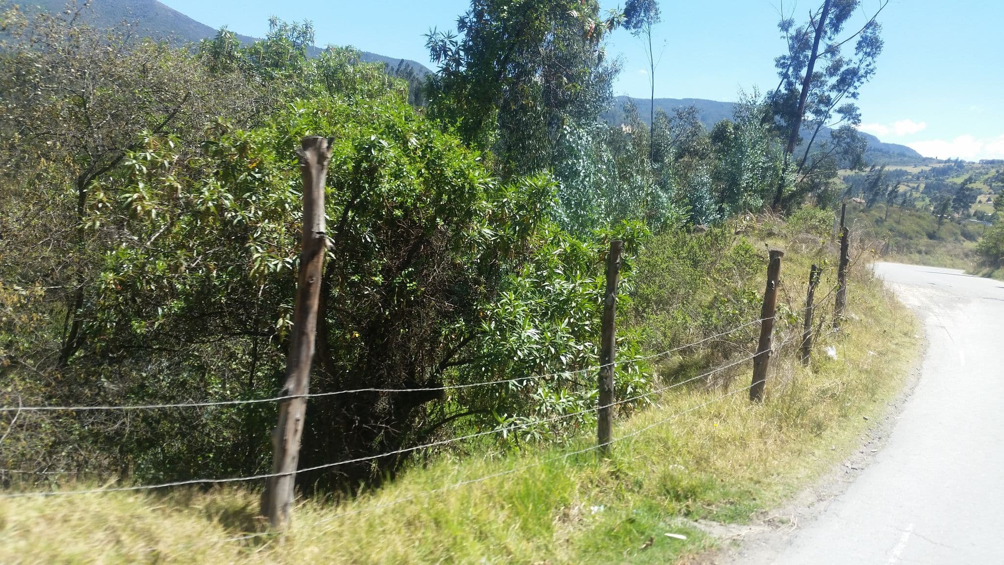 Street view near Hostal Villa San Juan, Tópaga — © ejegg (CC BY-SA · Mapillary)
