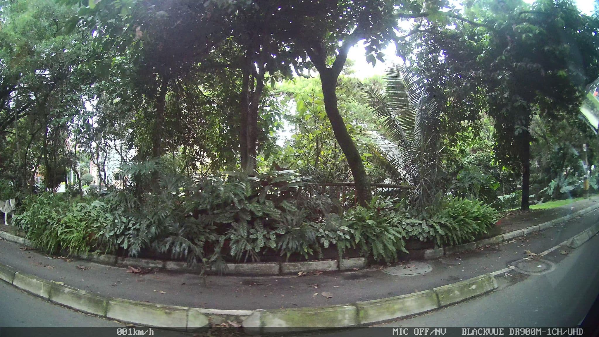 Street view near Hotel  Estelar Gran Playa Manzanillo, Medellín — © kaart_4 (CC BY-SA · Mapillary)