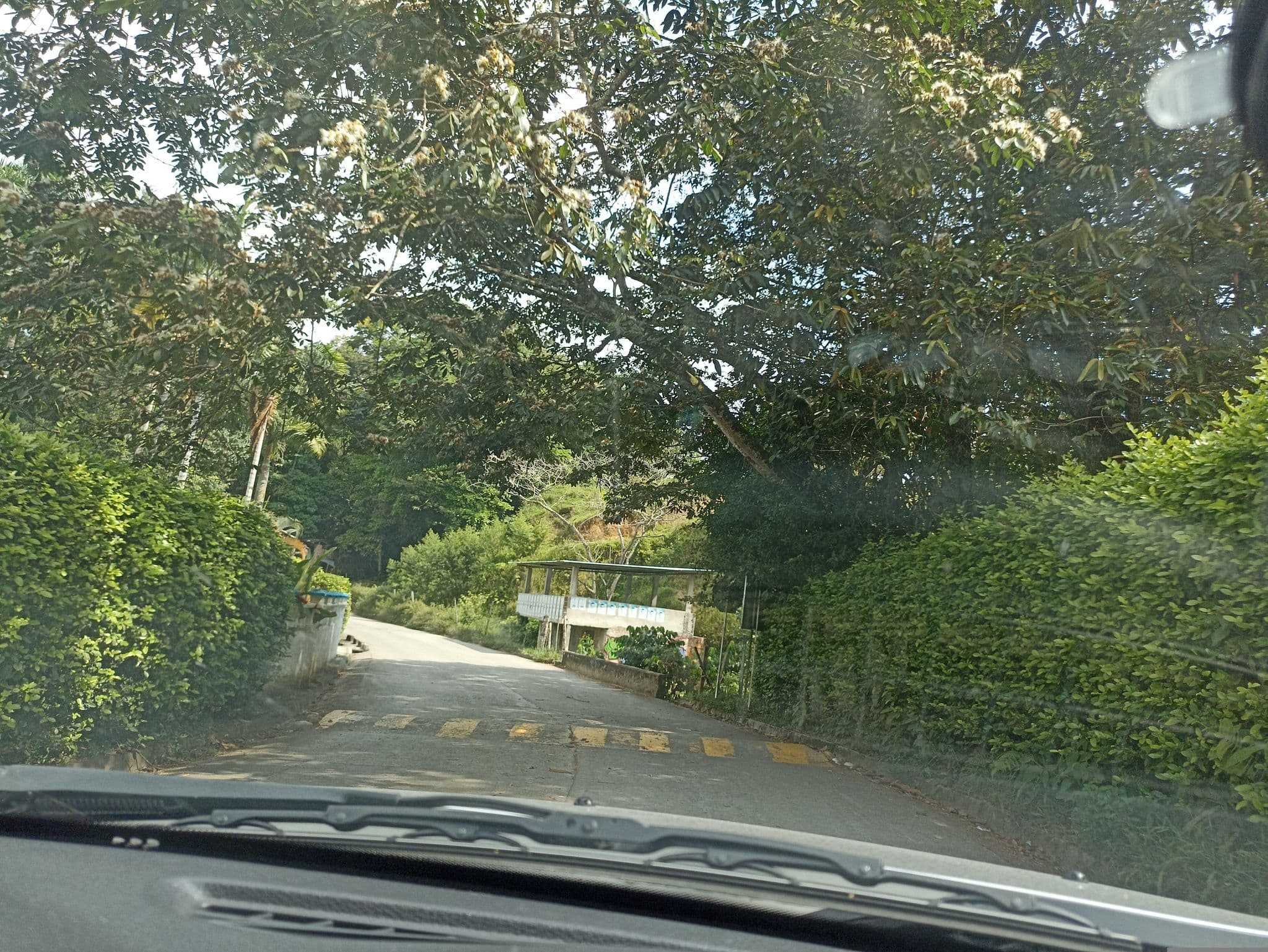 Street view near Hosteria Alcatraz, San Rafael — © ljtoro (CC BY-SA · Mapillary)