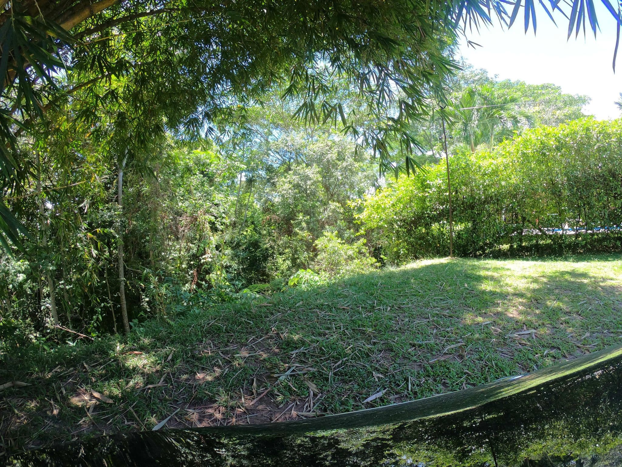 Street view near Hotel Paradero El Gitano, Puerto Triunfo — © angoca (CC BY-SA · Mapillary)