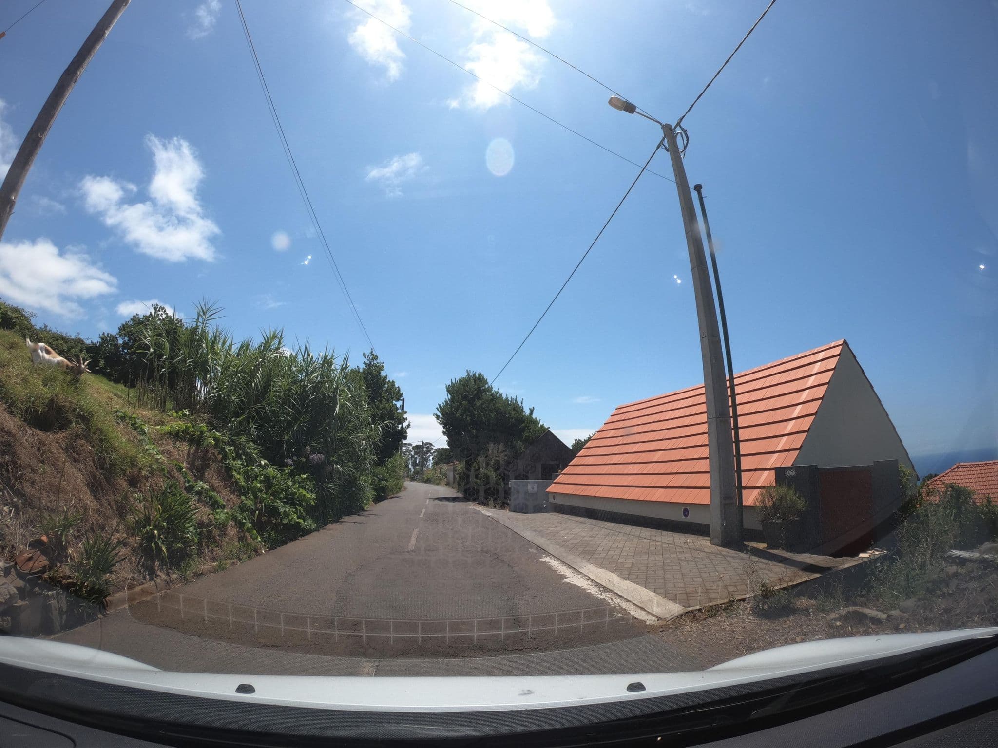 Street view near Quinta Inácia, Estreito da Calheta — © filipesilva (CC BY-SA · Mapillary)